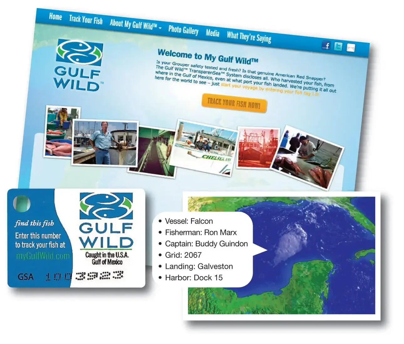 A screen shot of the Gulf Wild homepage with with navigation links, a logo, and a yellow button labeled 'TRACK YOUR FISH NOW!'. Below, a Gulf Wild card with details of a tracked fish.