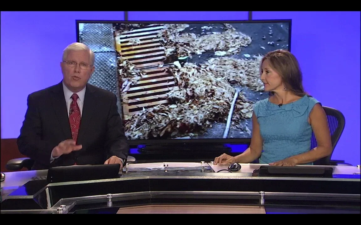 PUBLIC AWARENESS CAMPAIGNS: When an adoption program for stormwater drains launched in Nashville (TN), we educated media outlets, community groups and social media influencers about their impact on local waterways.