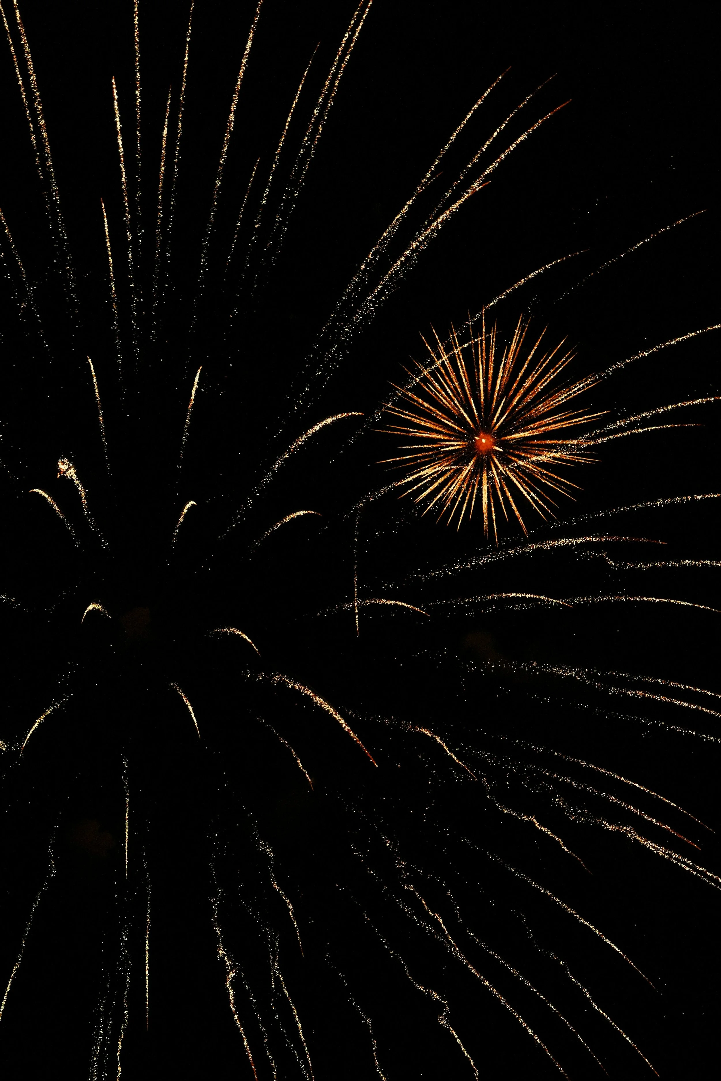 Fourth of July Event Photography in Bloomington: Fireworks Fade, Great Photos Don't