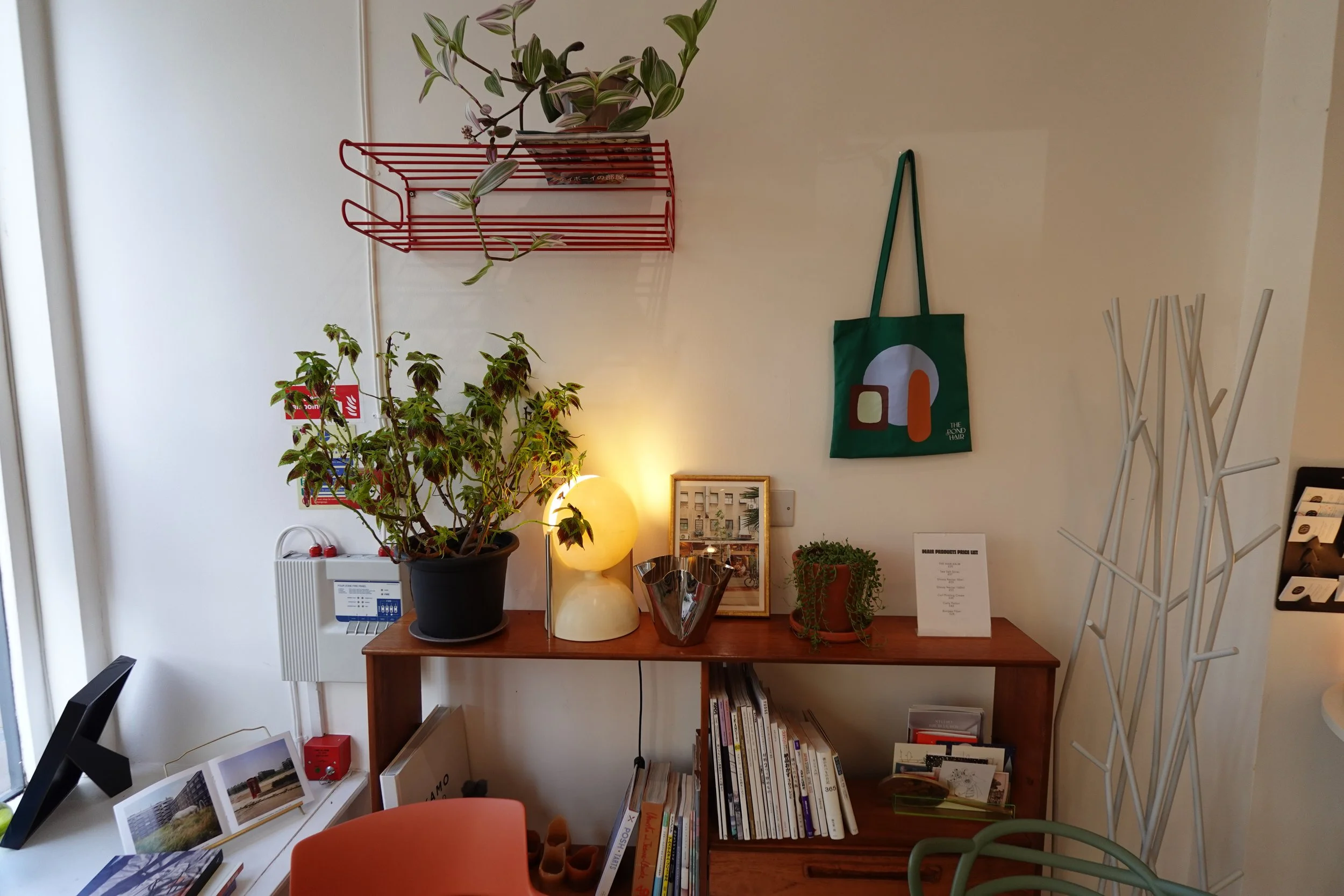 Interior of a cozy room with a wooden shelf holding potted plants, a lamp, and framed pictures. A green tote bag hangs on the wall, and a white coat rack stands nearby. The room has books and decor accents.