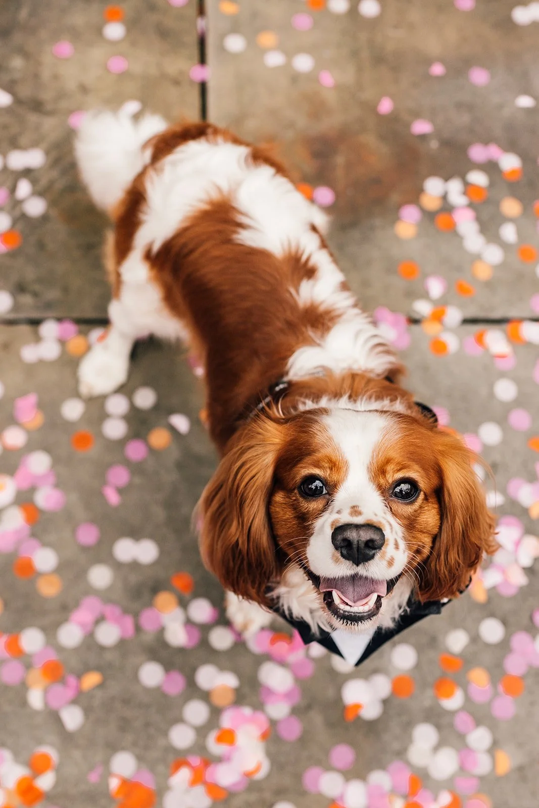 Annabelle & Jake -365_websize.jpg