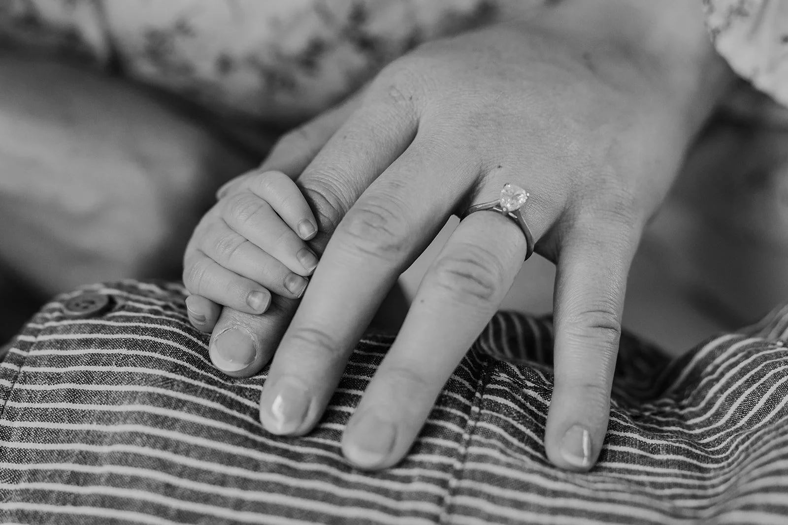 Sarah, Mark & Marley-101_websize.jpg