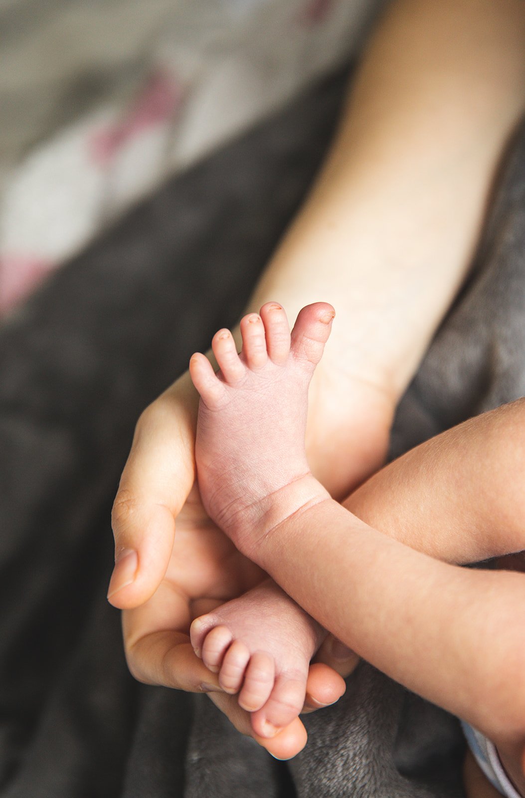 Close-up of an adult holding a baby's feet with gentle hands.