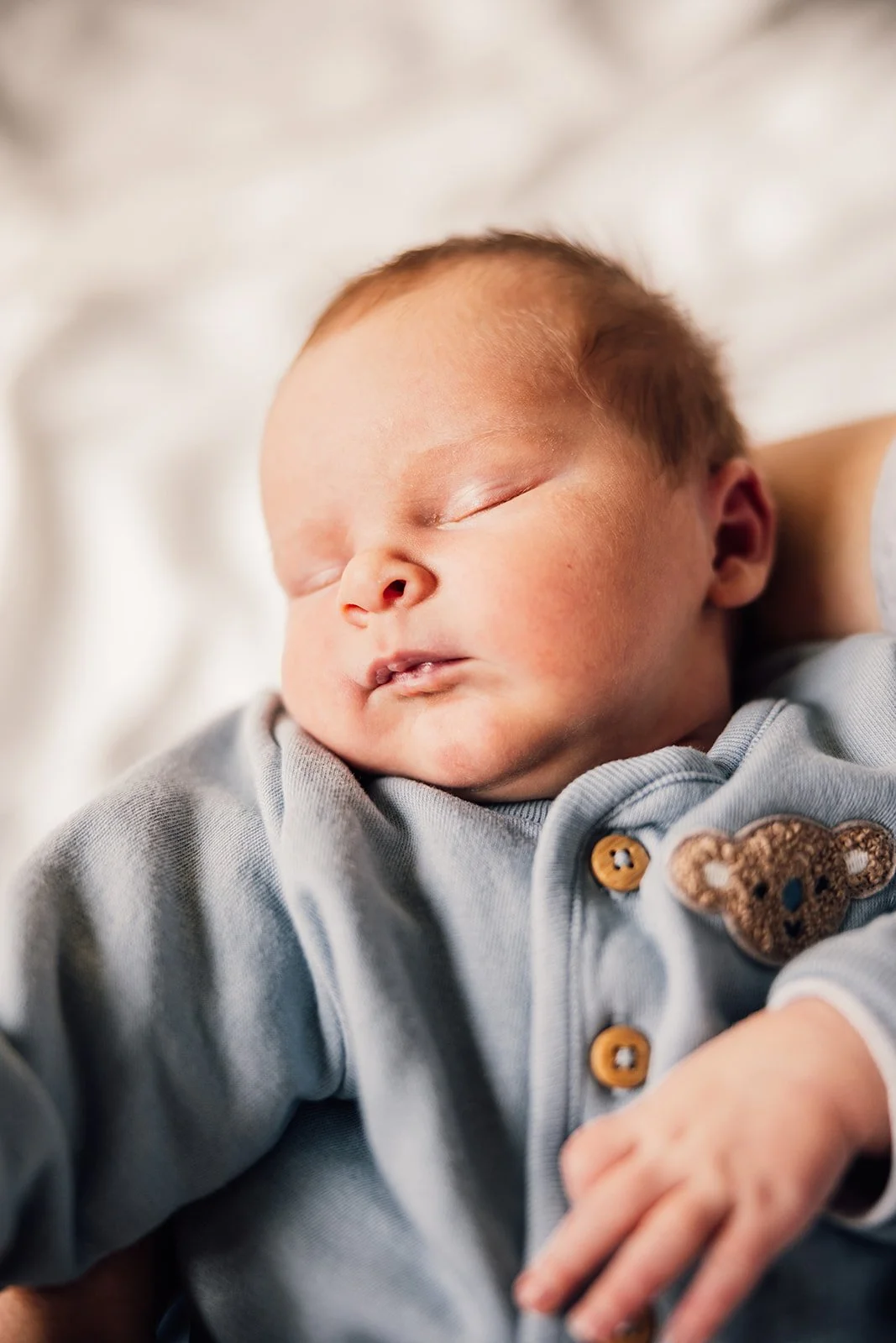 Wilf Hooper-19_websize (1).jpg