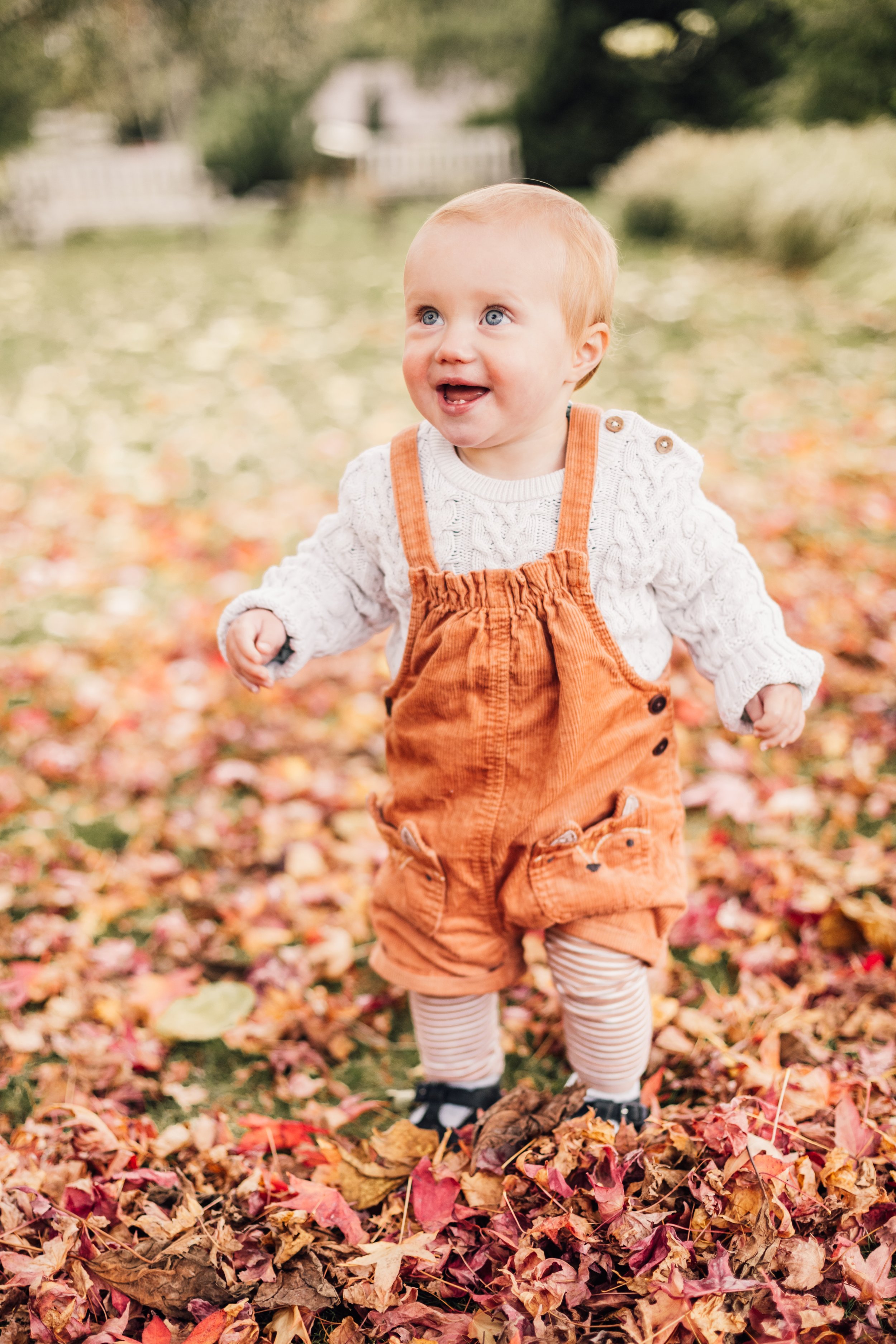 A baby in an orange jumper and white sweater standing on autumn leaves in a park.