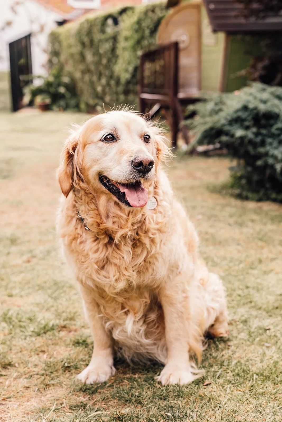 The De Obaldia Family-69_websize.jpg