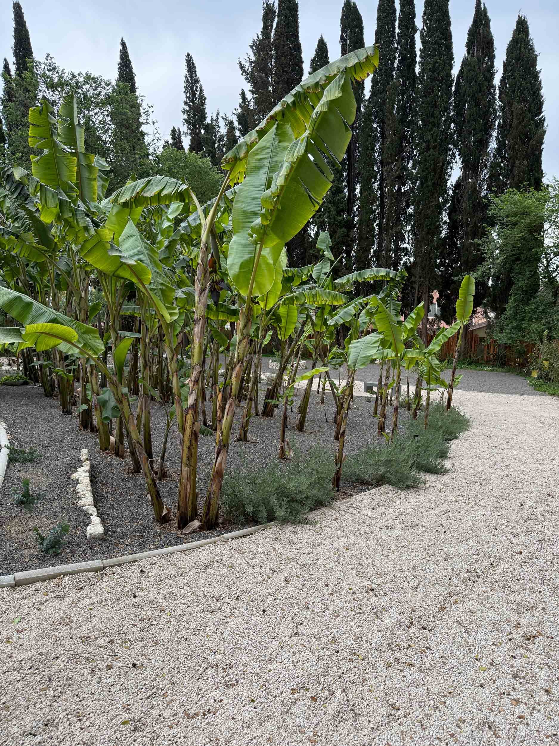 OVR-Villa-Verdea-23.jpg