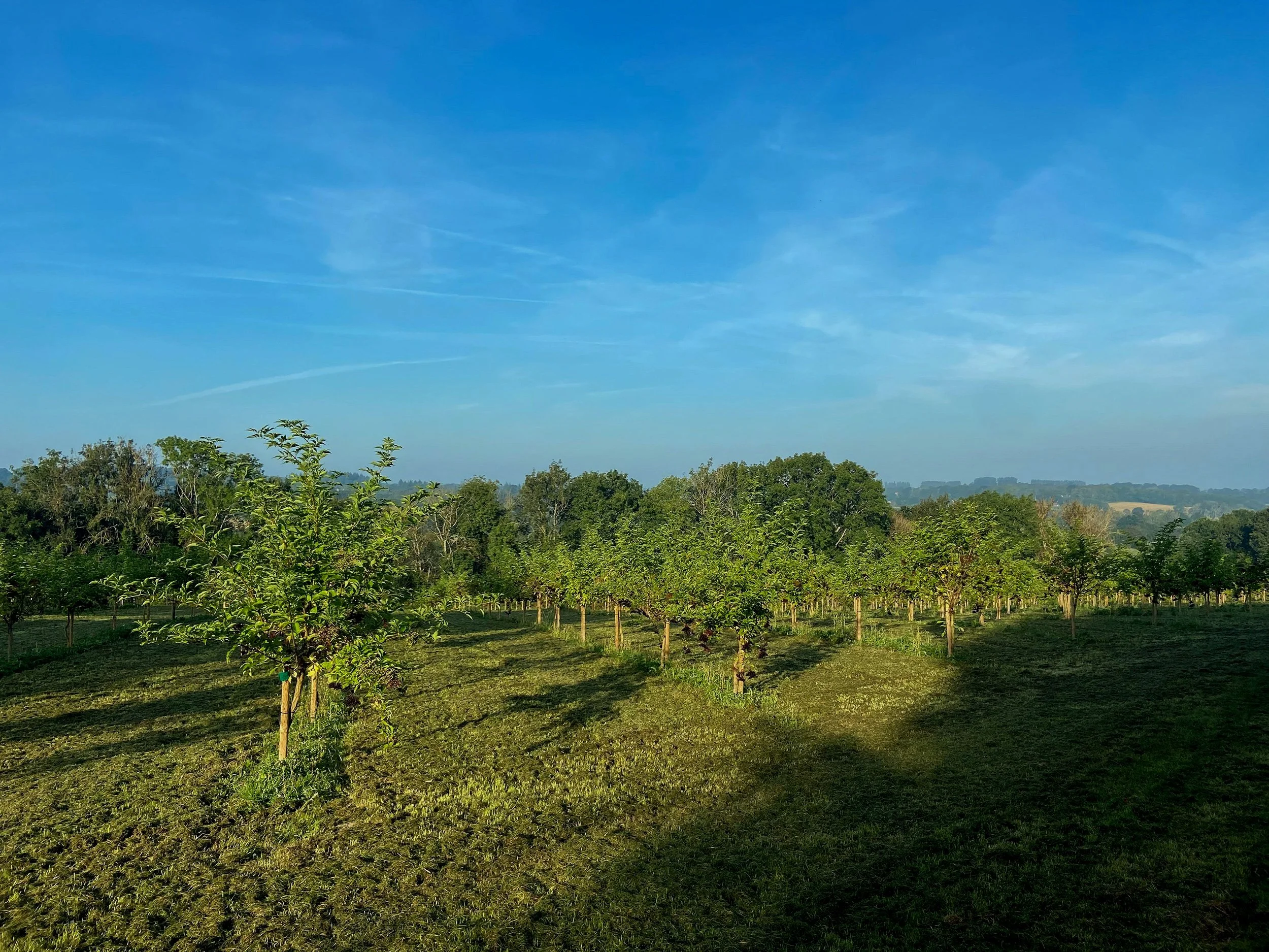 Rates — Slides Farm Bed & Breakfast