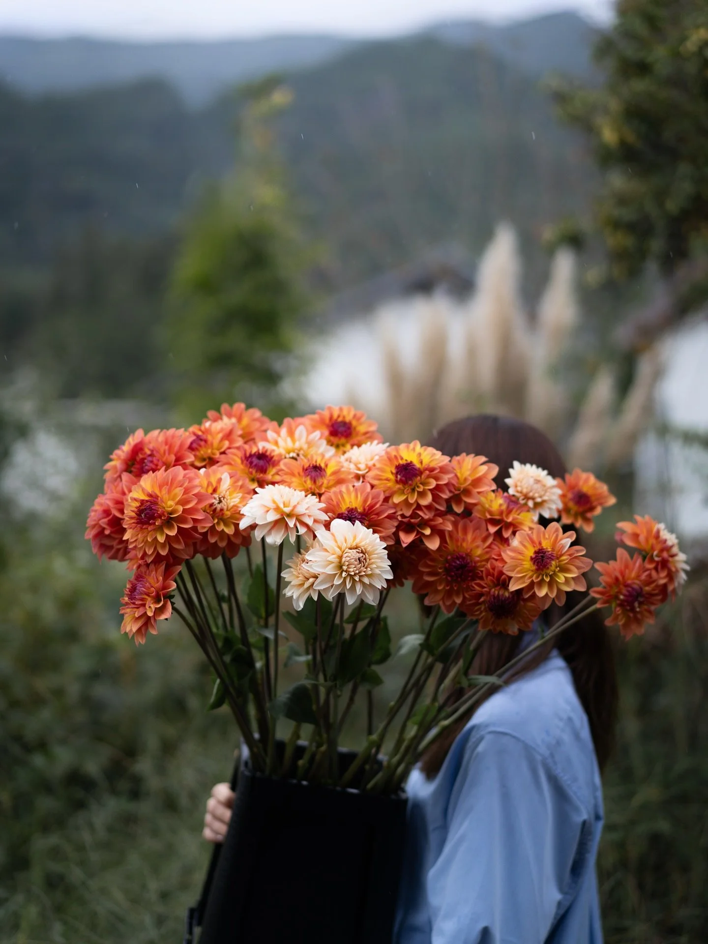 ダリアの花が次々と咲き、収穫の手が追いつかないほどになってきました。
早朝から深夜まで、スタッフみんなで花と向き合う日々。
忙しさの中でも、咲き誇る花の姿に励まされながら、どこかで誰かの心を和ませてくれることを願い、今日も手を動かしています。

#美しい花を美しく育てる 
#yariflowerfarm 

#ダリア 
#ダリアパーラー 
#dahlia