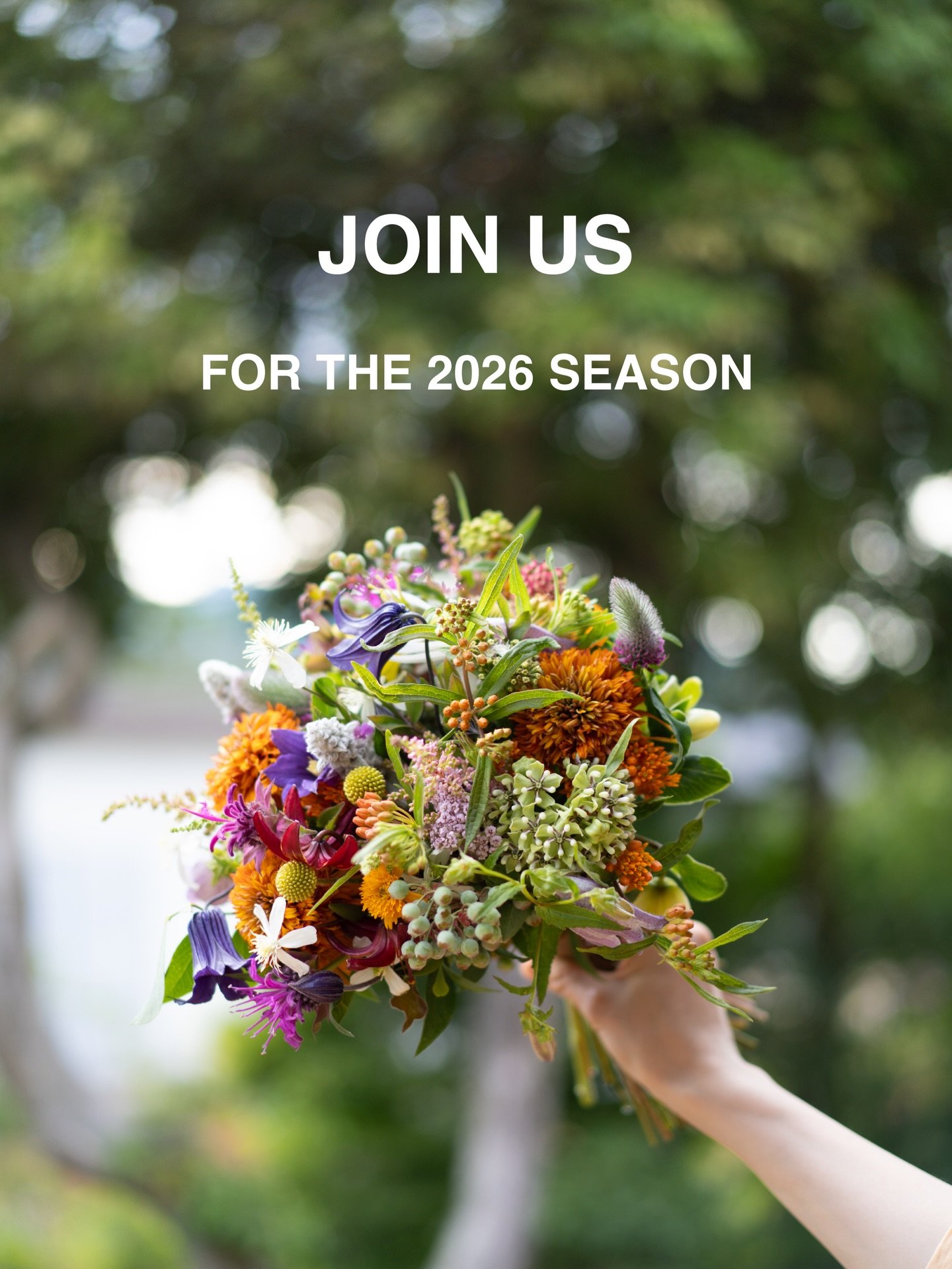 【2026シーズン メンバー募集と仕事説明会のお知らせ】

YARI FLOWER FARMは、花を育て、束ね、届けるファーマーフローリスト。
生産だけにとどまらず、FARM MEMBER（コミュニティ）やFARM STAND（直売所）の運営、二拠点（安曇野／沖縄）での農業など、農業の枠組みを少しずつ広げる試みを続けてきました。

当園では、2026シーズンをともに過ごすメンバーを募集します。今回は、安曇野農園・沖縄農園でのアルバイトに加え、季節に応じて両農園を行き来しながら関わっていただく正社