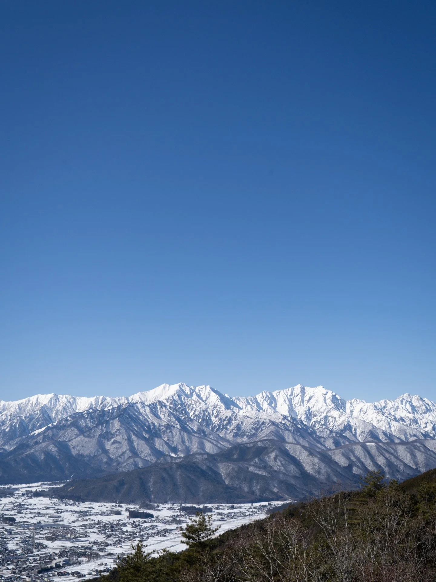 安曇野農園では、厳しい寒さのなか、北アルプスの冠雪がいっそう深まりました。植物たちは地上の動きを止め、冷たい土の下で春を迎える時を待ちます。

沖縄農園で土に触れながら、その遠い場所で続く沈黙の時間に思いを巡らせる。豊かさとは、そういうことなのかもしれません。

#美しい花を美しく育てる 
#yariflowerfarm