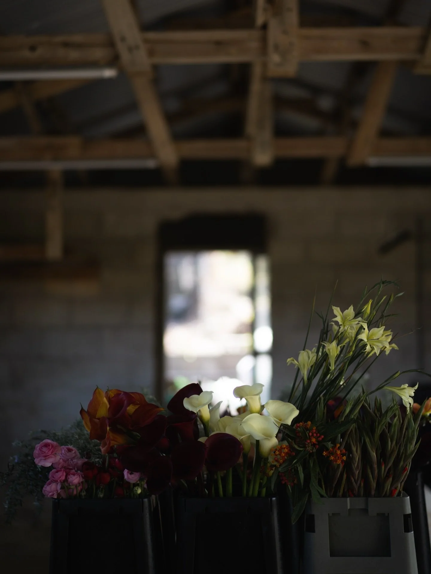 沖縄農園の選花場が、少しずつ形になってきました。まだ未完成ですが、ここで毎日、収穫した花を一本ずつ確かめ、全国の花市場へ送り出しています。

南の光を受けて育った花は、同じ品目でも安曇野とはどこか趣が異なります。その差異に向き合う時間が、いまの僕たちの礎になっています。

そして今月、ひとつ新しい取り組みを始めました。沖縄農園で収穫した花を、FARM MEMBERの皆さまへ直接お届けすることです。市場出荷は続けてきましたが、メンバーへ沖縄から発送するのは初めての試み。距離や輸送日数など、越えるべ