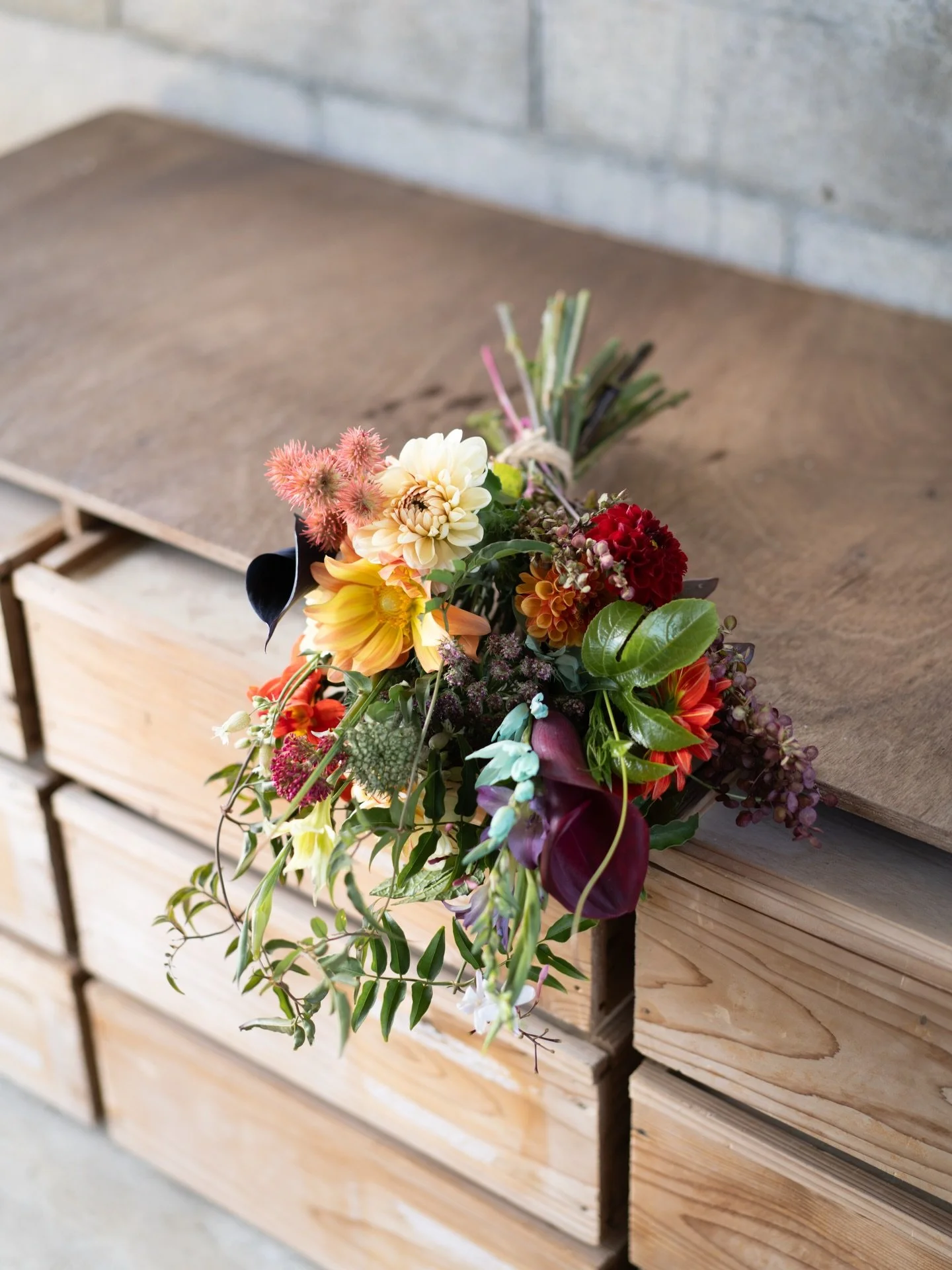 大切な方からご注文いただき、沖縄農園でいま育てている花たちを束ねました。

安曇野でも育てている花もありますが、この土地の光や湿度を受けて、どこか沖縄らしい表情になります。

畑仕事の中で花を束ねる機会は多くはありませんが、一本一本の姿を確かめながら触れることで、花の見え方が少し変わります。その感覚を、日々の花作りに繋いでいけたらと思っています。

#美しい花を美しく育てる 
#yariflowerfarm
#yariflowerfarm沖縄農園 
#yariseasonalbouquet