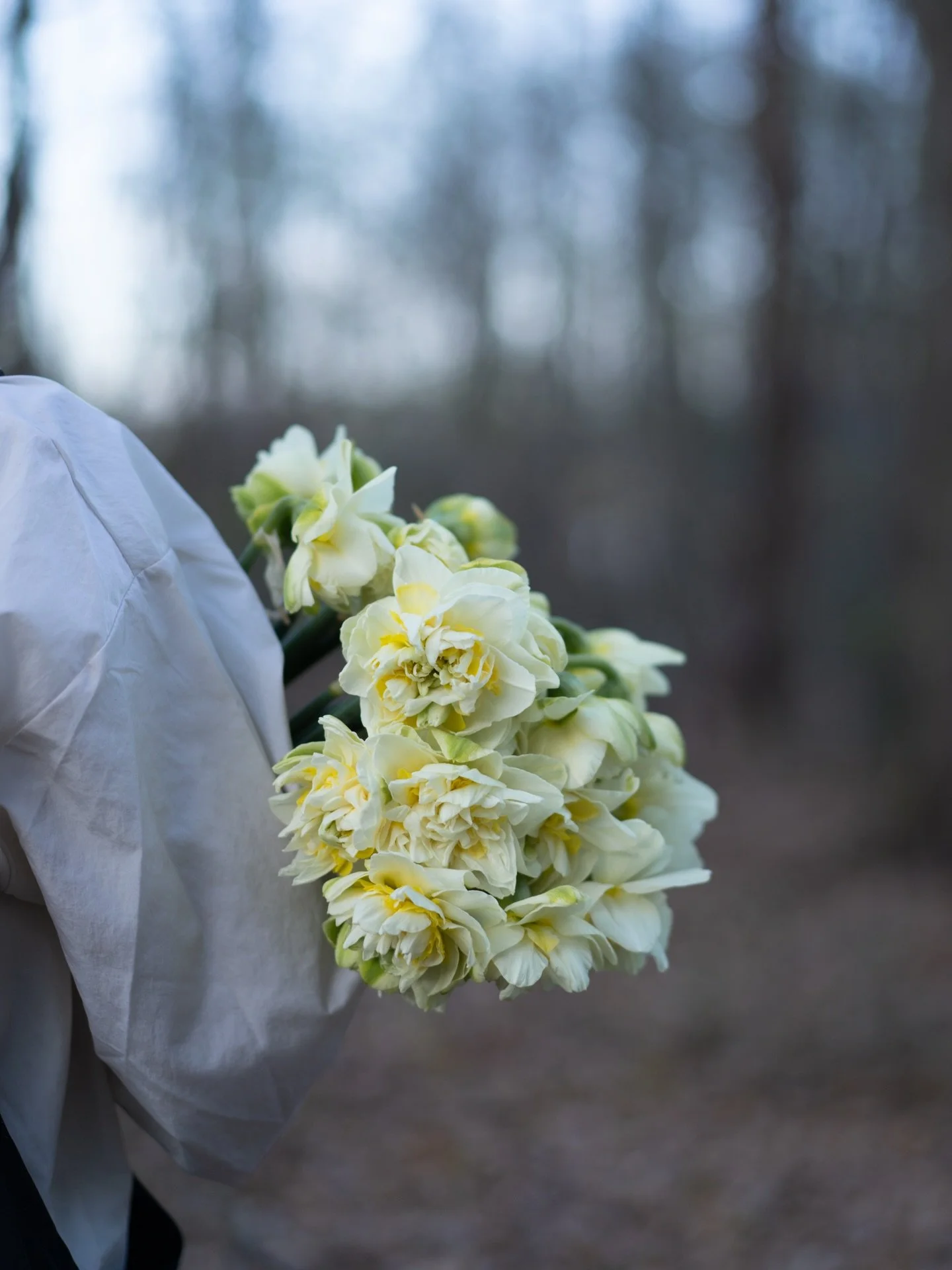 スイセンの収穫も、そろそろ終わりが見えてきました。農園では、次々と新しい植物たちが日に日に背を伸ばし始めています。

季節は途切れることなく移り、手にしていた花たちも、次の風景の中へと移っていきます。その流れの中に身を置きながら、土に触れる日々が続いています。

&mdash;

【イベントのお知らせ｜4月24日・25日】
東京、三軒茶屋のカフェSAMAA_ @samaa_coffee さんにて、YARI FLOWER FARM 初のポップアップイベントを開催します。

イベントは2日間にわたり
