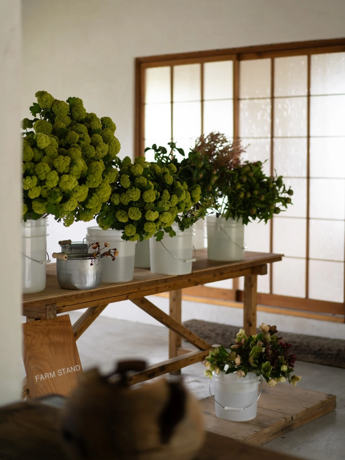 2026シーズンのFARM STAND、初日を無事終えることができました。営業が3時間という短い時間にも関わらず、県内外から多くの方に足を運んでいただき、ありがとうございました。

普段、私たちの花は市場を通じて全国の花屋さんのもとへ渡っていきます。だからこそ、実際に花を見ていただき、その場で反応に触れられる時間は、自分たちにとって、とても大切です。

どの花の前で足が止まるのか。どんな質感や香りに心が動くのか。そうした小さな感覚の積み重ねが、また次の花作りへ返っていきます。

FARM STA