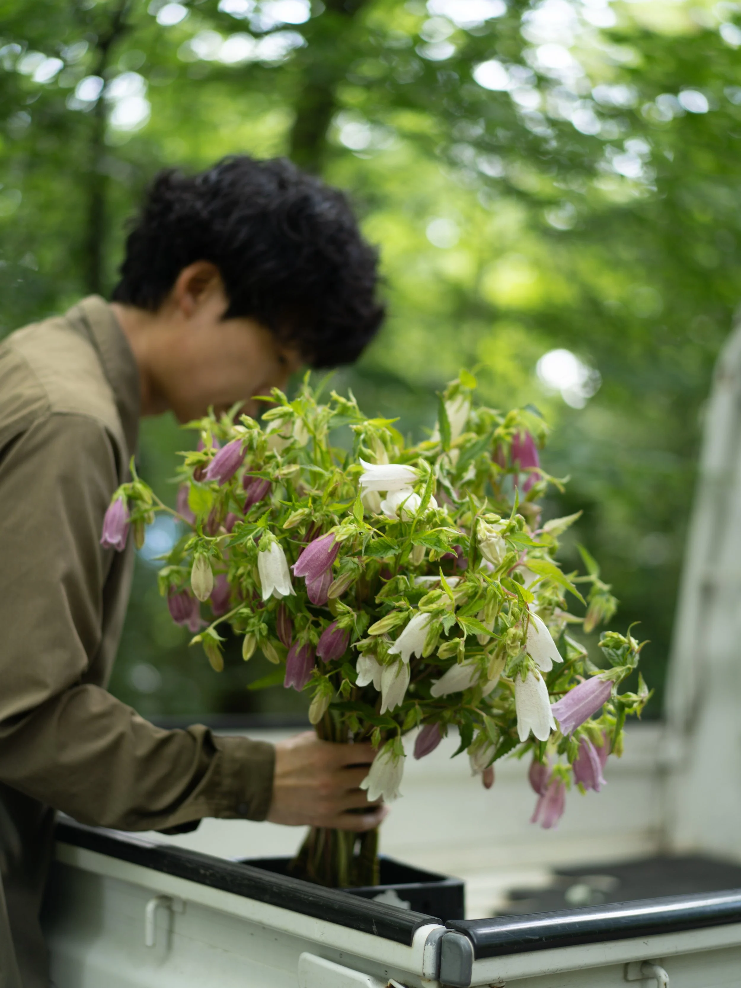 初夏らしく、農園の花たちが次々と入れ替わる季節になりました。

明日のFARM STANDも13:00&ndash;16:00でオープンします。

先週とはまた違った顔ぶれが並ぶ予定です。なかでもスモークツリーは、今シーズンでいちばん多くご用意できそうです。普段市場には出しにくい大きな枝ものから、飾りやすいサイズまで並びます。これだけ揃うのは、おそらく今週が最後になりそうです。

農園の景色が日ごとに変わっていくこの季節。お花と一緒に、いまの安曇野の初夏も持ち帰っていただけたら嬉しいです。

＜