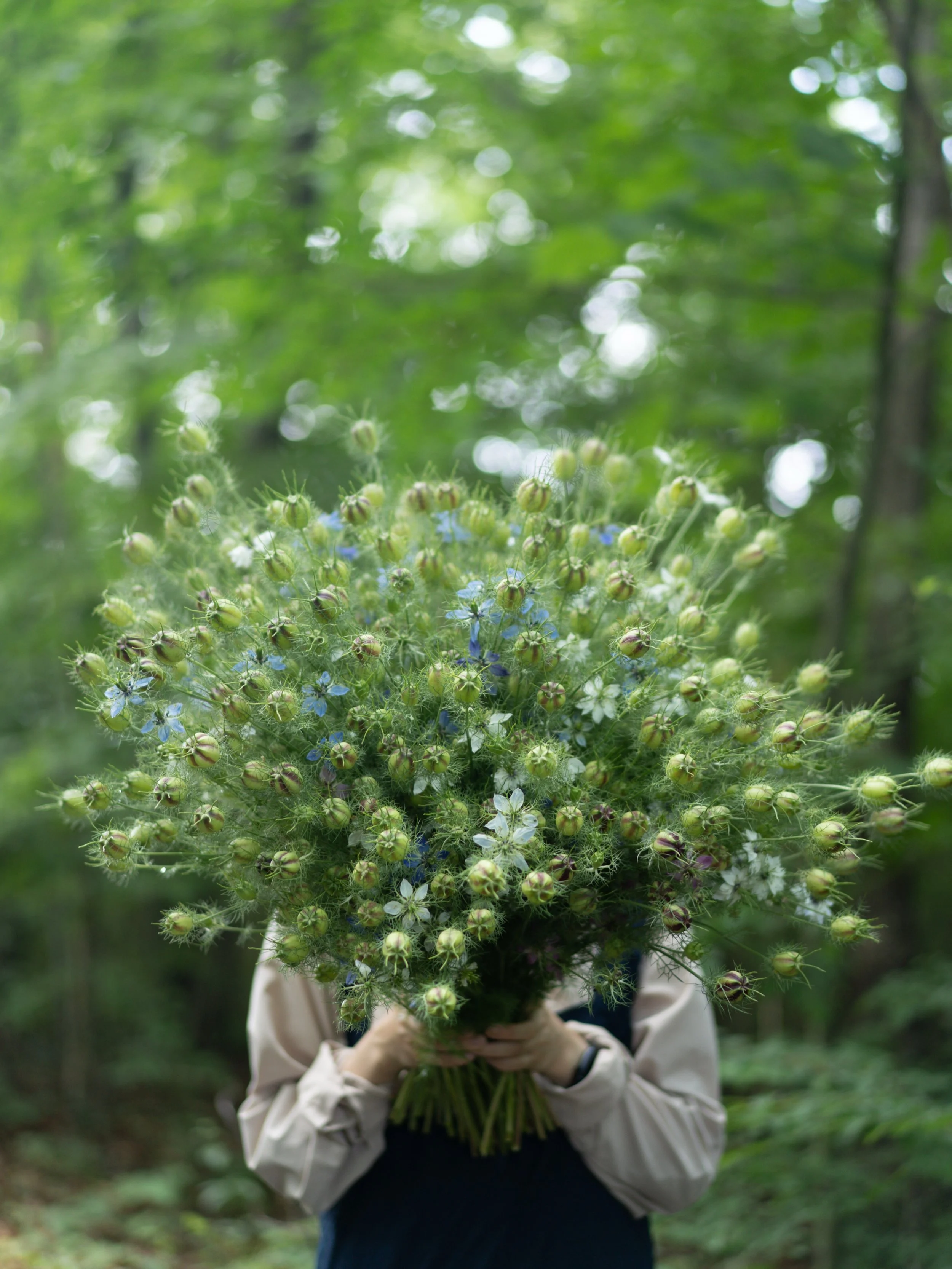 【7月4日（土）FARM STAND休業のお知らせ】

本日オープンを予定しておりましたFARM STANDですが、雨予報に変わったため、お休みとさせていただきます。

営業に向けて準備を進めていましたが、収穫する花たちが雨に濡れたままでは、良い状態でお渡しすることができません。

2週間ぶりの営業を楽しみにしてくださっていた皆さまには、大変申し訳ありません。

自然を相手にしているため、天候に左右されることも多く、ご不便をおかけしますが、ご理解いただけますと幸いです。

また来週、季節が少し進