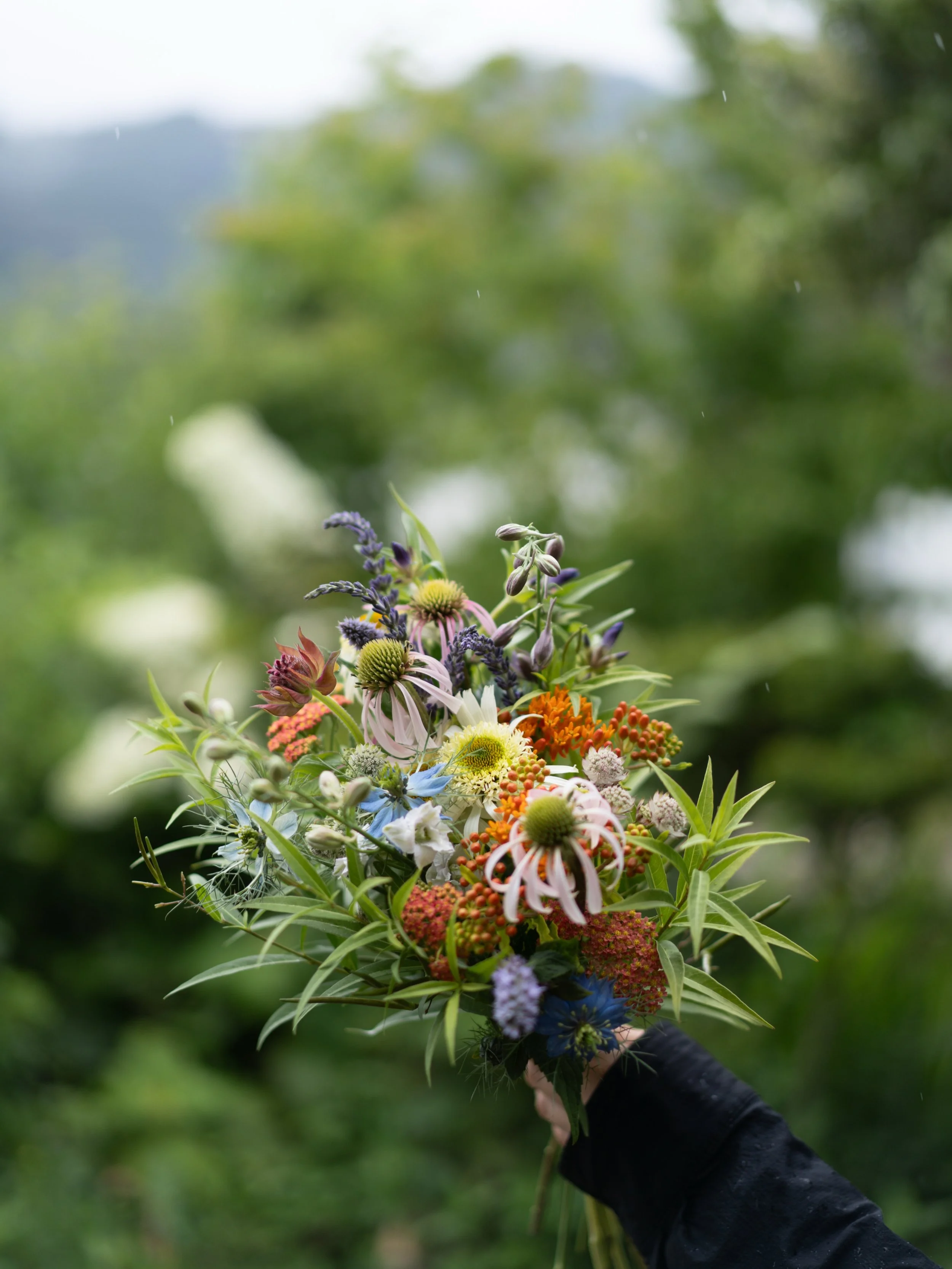 花は不思議なもので、祝う日にも、祈る日にも、人はそのそばに花を置きます。

昨日、6月23日は、沖縄の「慰霊の日」でした。沖縄農園ができてから、遠くの出来事として眺めていた歴史や季節を、以前より少し身近なものとして感じるようになりました。

多くの命が失われた歴史があり、その先に今の暮らしがあります。こうして花を育て、束ねられる日々も、決して当たり前のものではないのだと思います。

知ることは、想像することにつながります。自分とは違う土地のことや、時代を生きた人たちのことに思いを巡らせる。その想