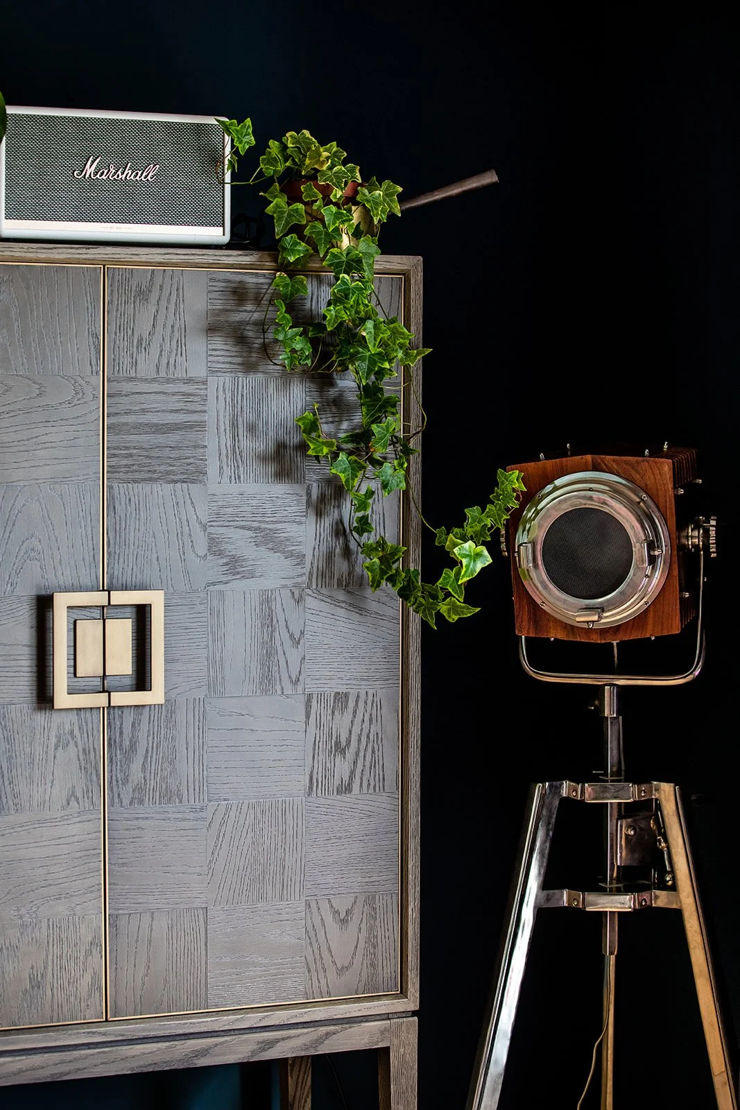 Decorative modern room interior featuring a gray wooden cabinet, a hanging green ivy plant, a vintage wooden photography spotlight, and a white Marshall speaker on top of the cabinet.