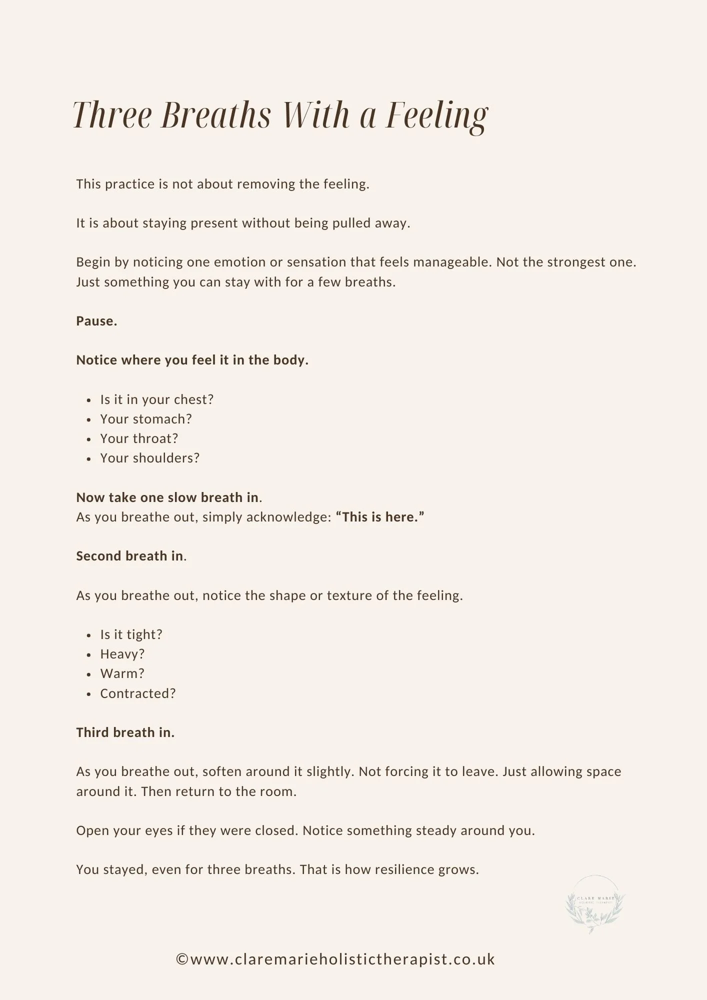 Three Breaths With A Feeling in The Pause Before Change mindfulness workbook designed to calm a busy mind and reconnect with inner clarity.