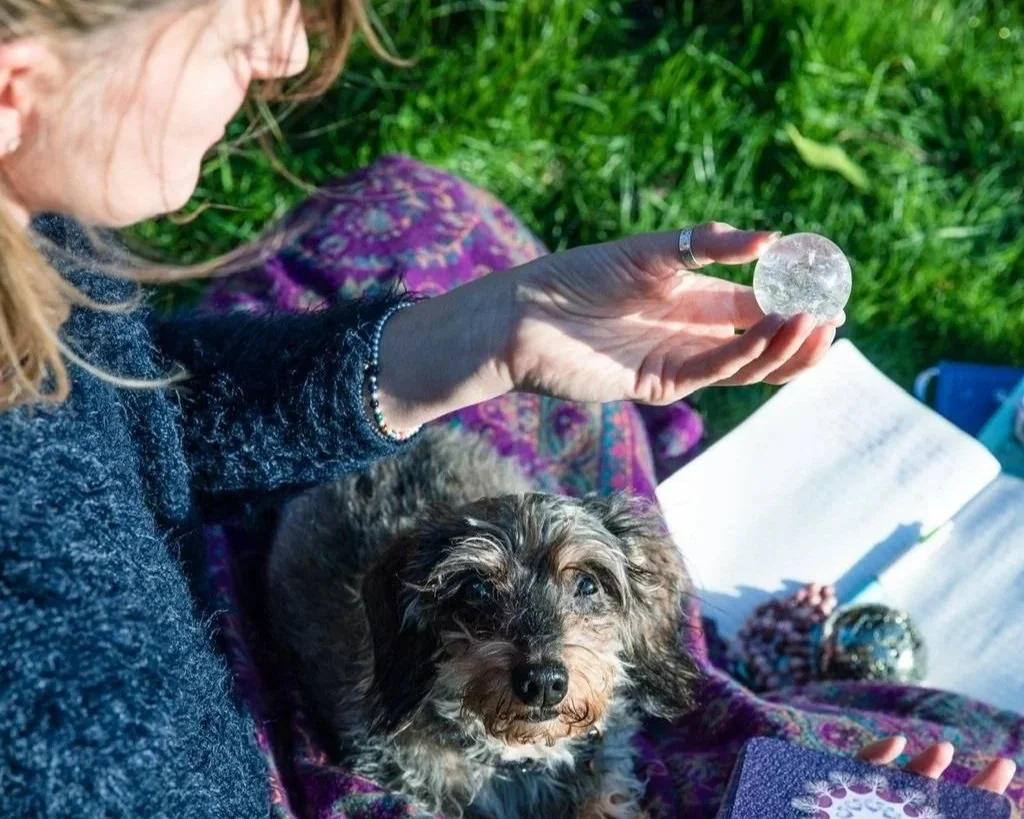 Meditation retreat at ashram UK stillness and mindfulness nature Clare Marie Holistic Therapist