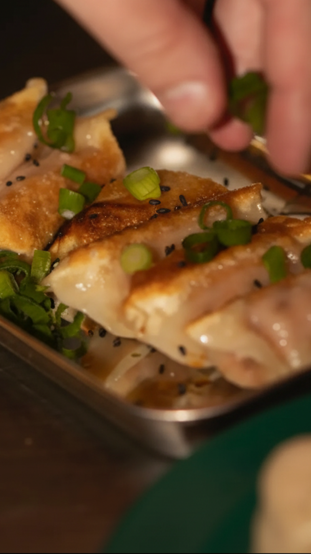 Mushroom gyoza clean.png