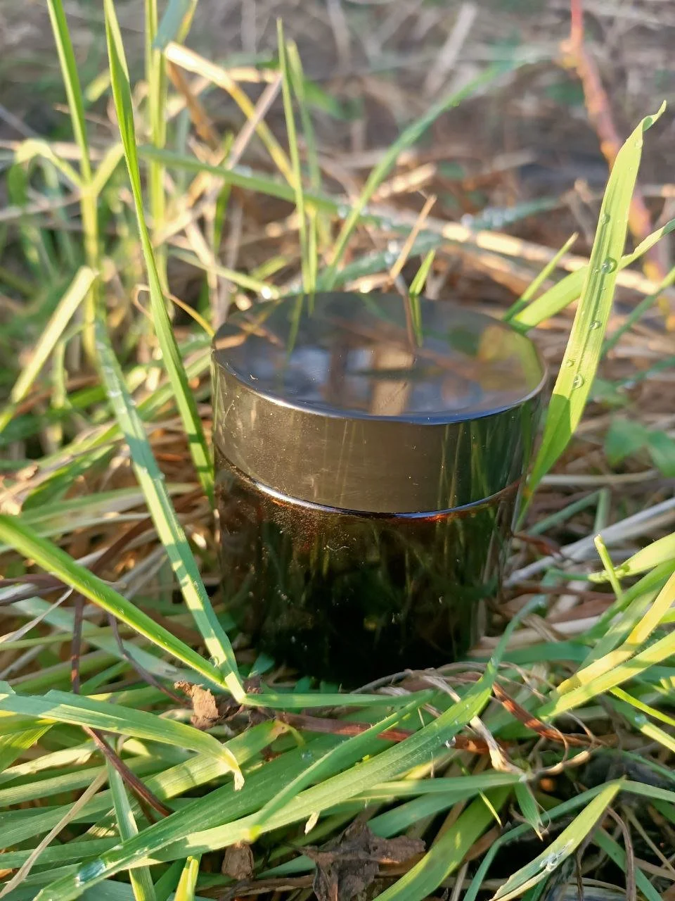 Shilajit for women 