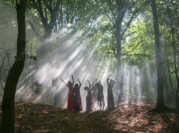 witchesintheforest.jpeg