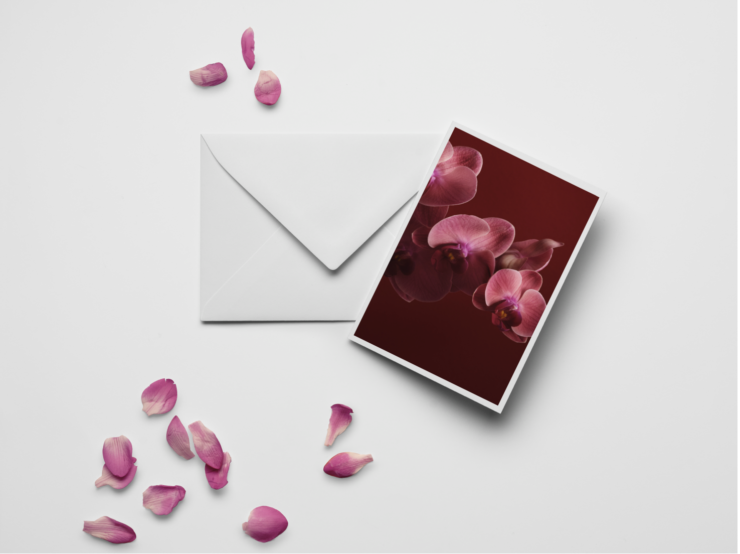 Skärmavbild 2024-10-14 kl. 19.55.28.png