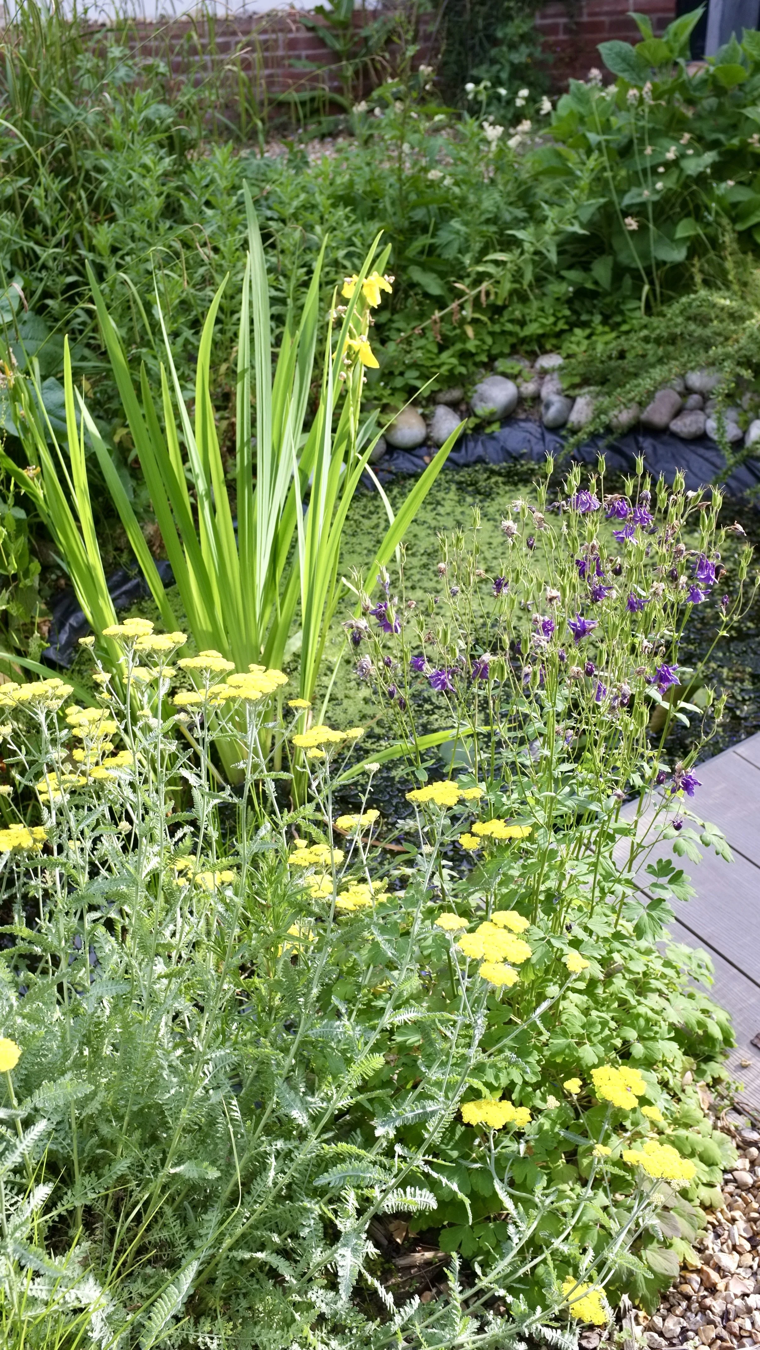 DSCF4810.JPG