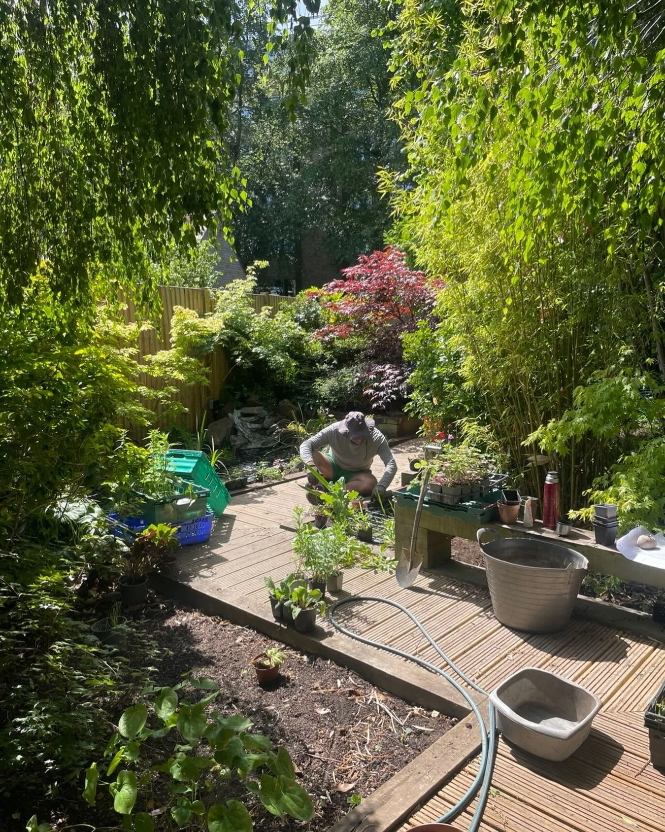 Little #actionshot of a planting day back in May. Beautiful woodland style garden in Cambridge. We designed some landscape aspects for the garden makeover, but mostly it was PLANTING design which is always a joy! 🌱❤️