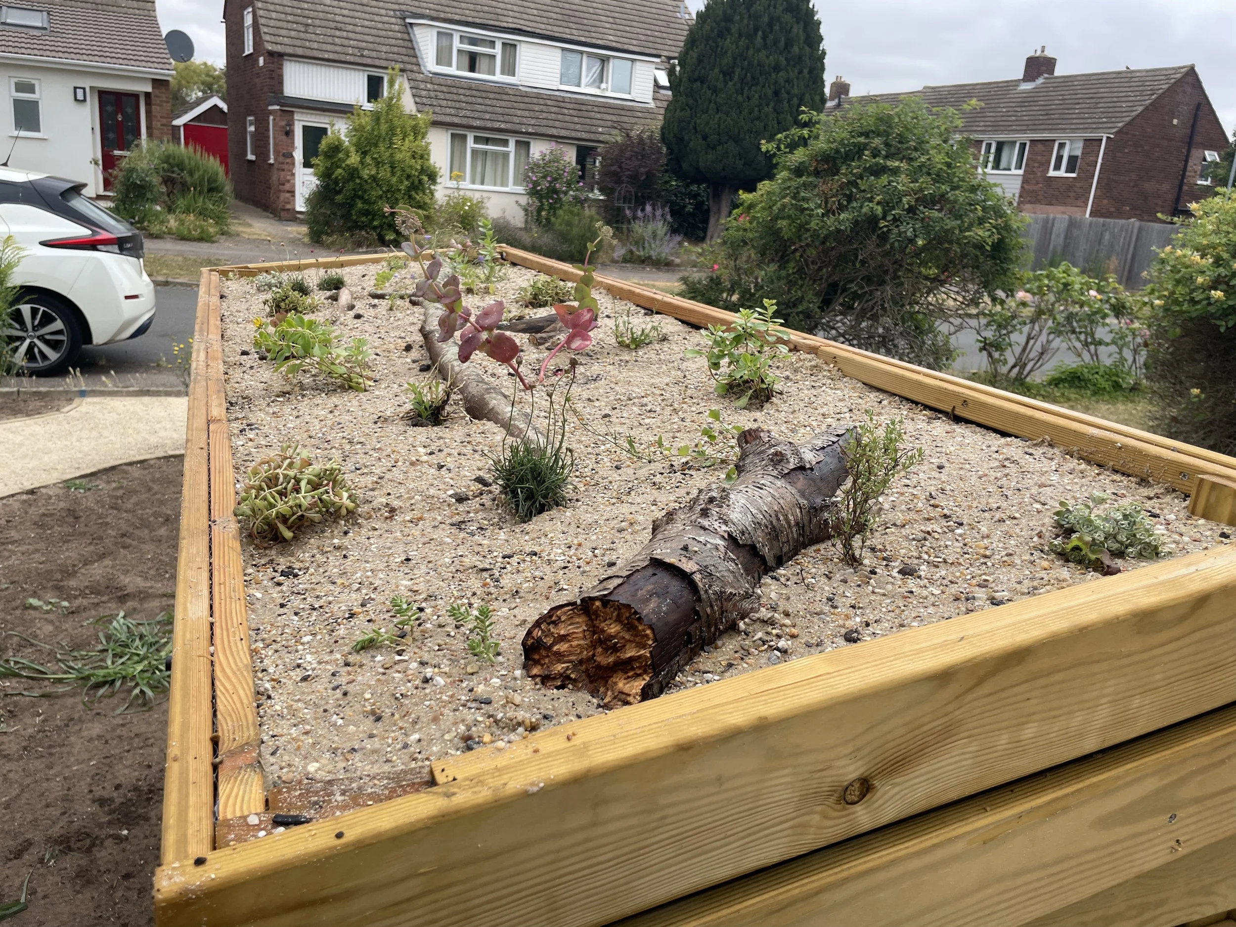 Front garden (Cambridge) / Cottage + biodiversity