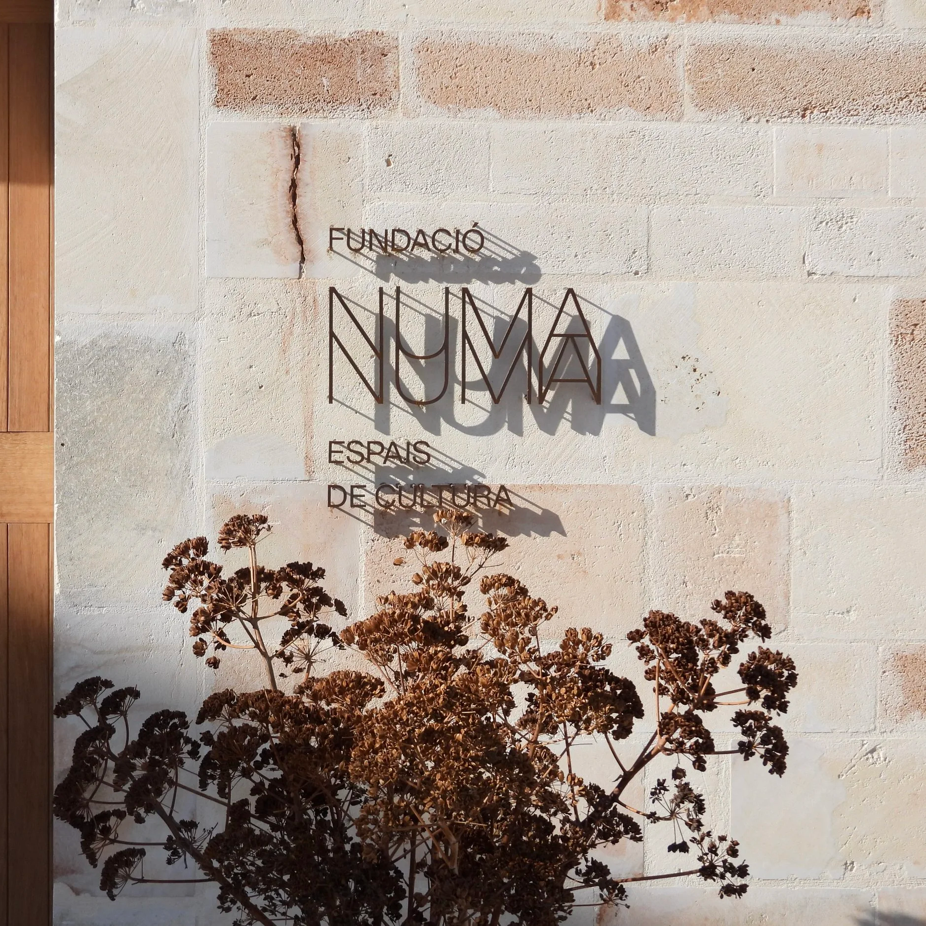 Numa