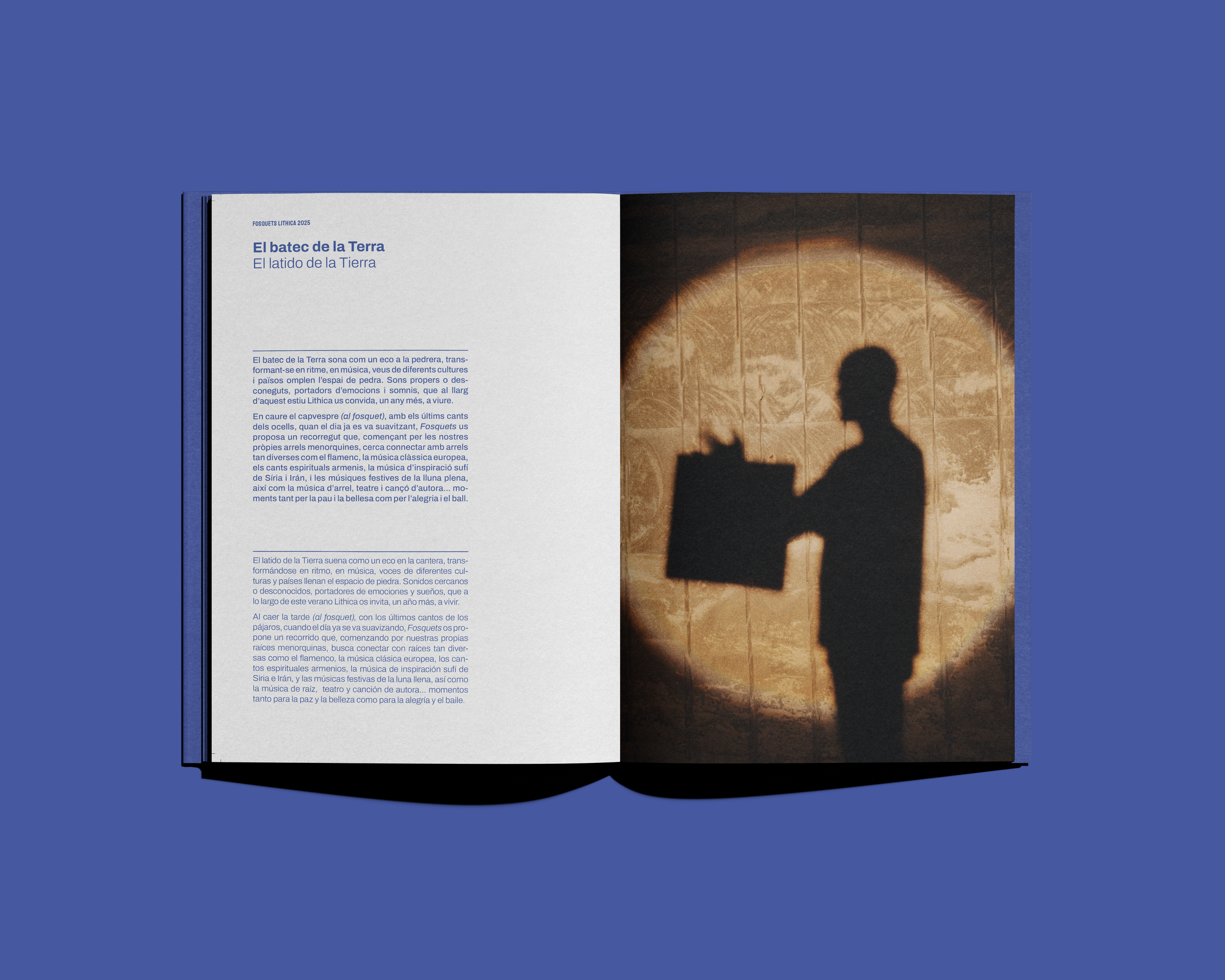 Book Mockup_BF7_12_primera paigan copia.png