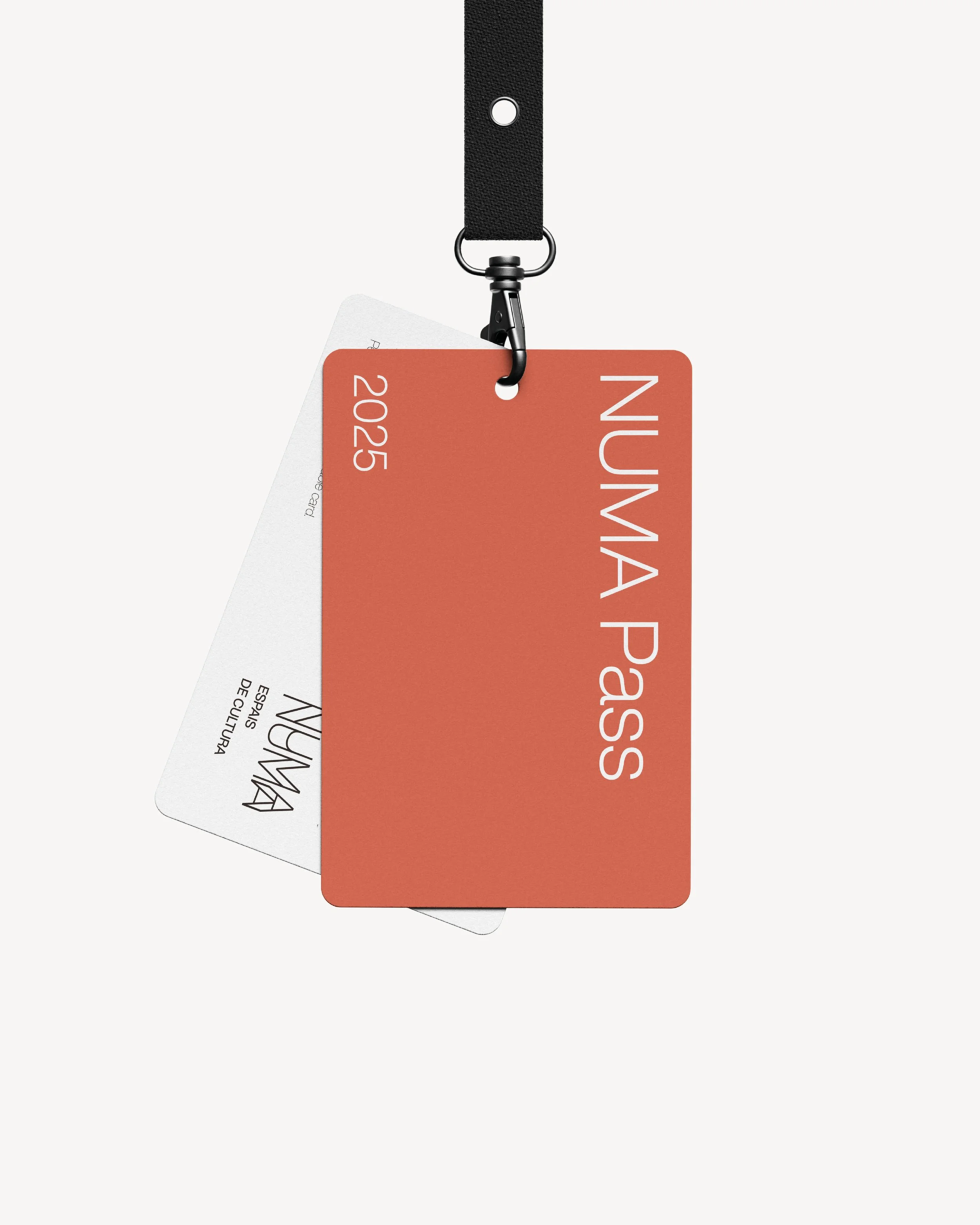 numa4.jpg