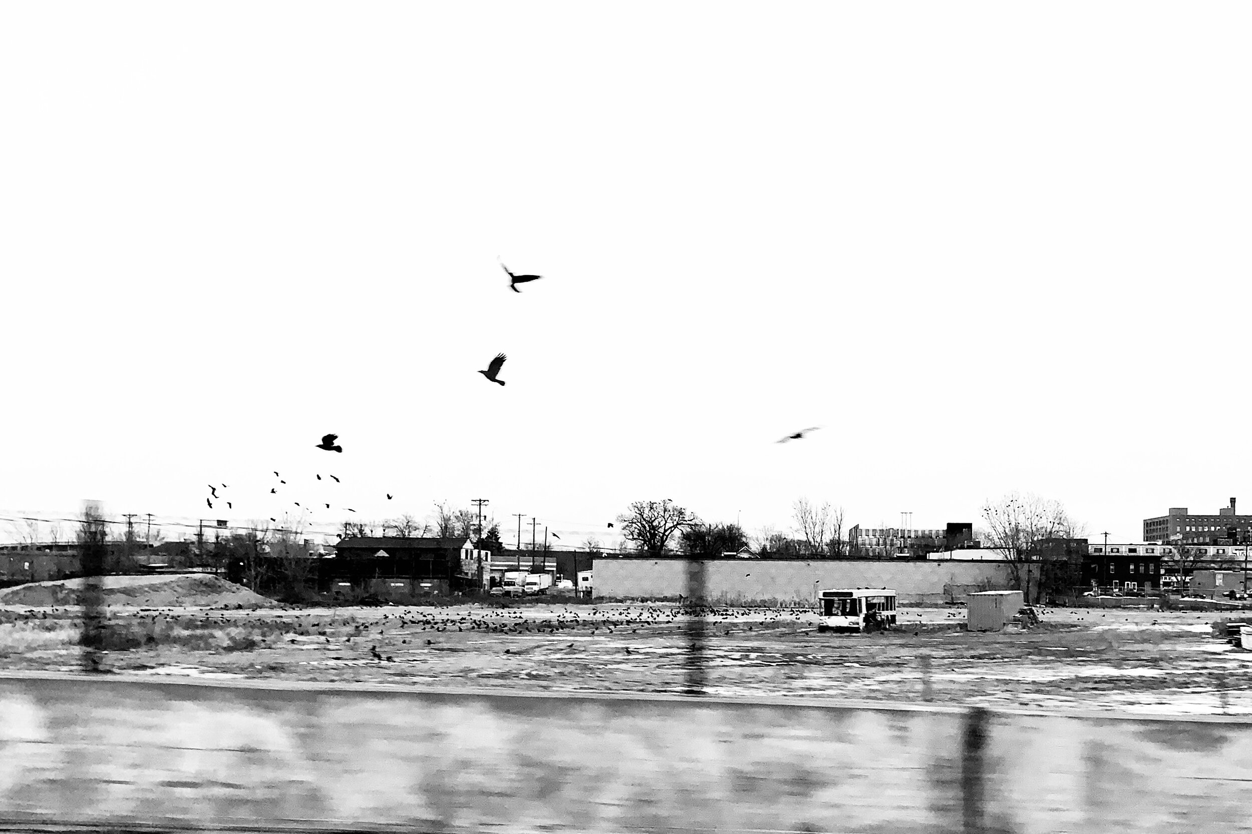 Metro Transit North Loop