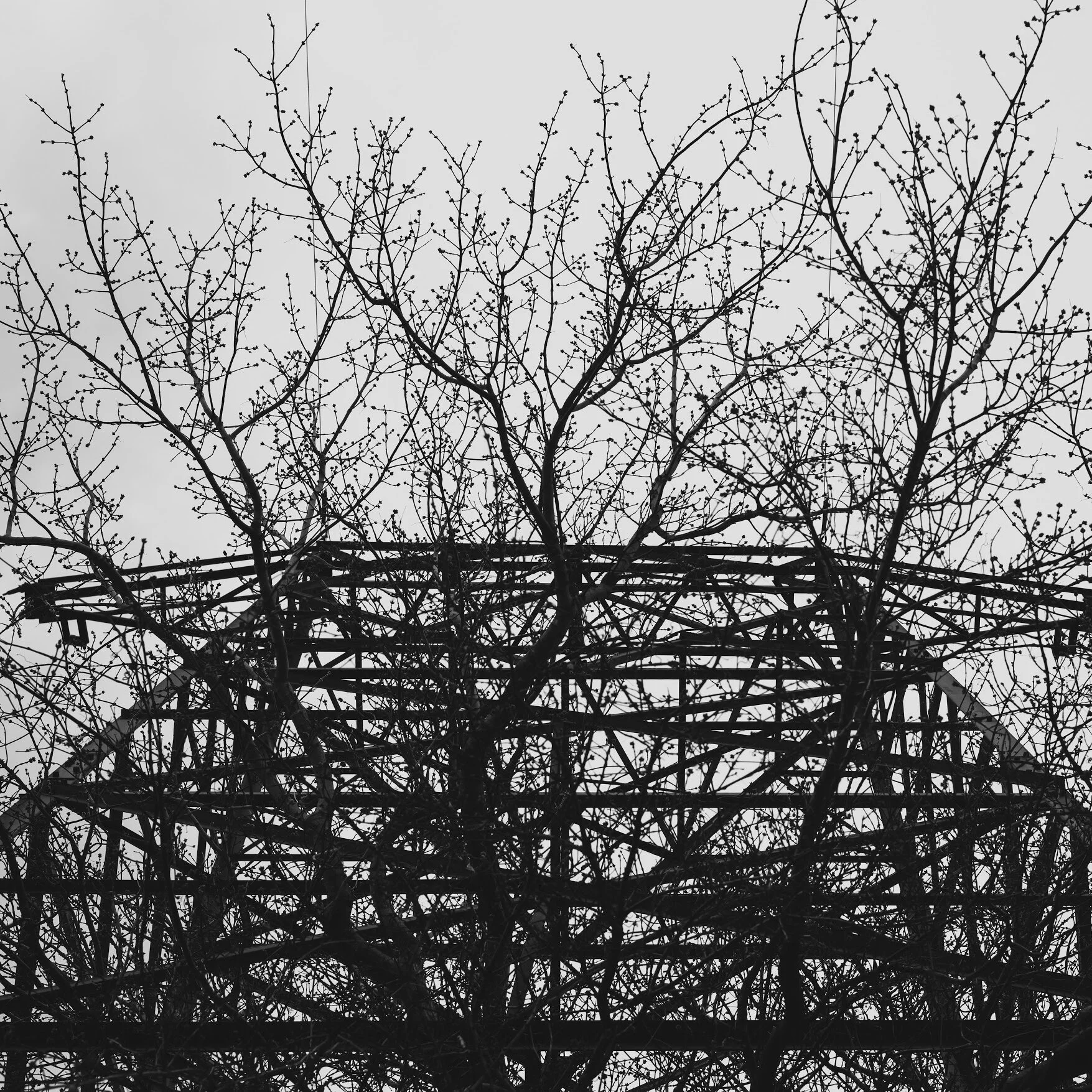 North Mississippi Regional Park