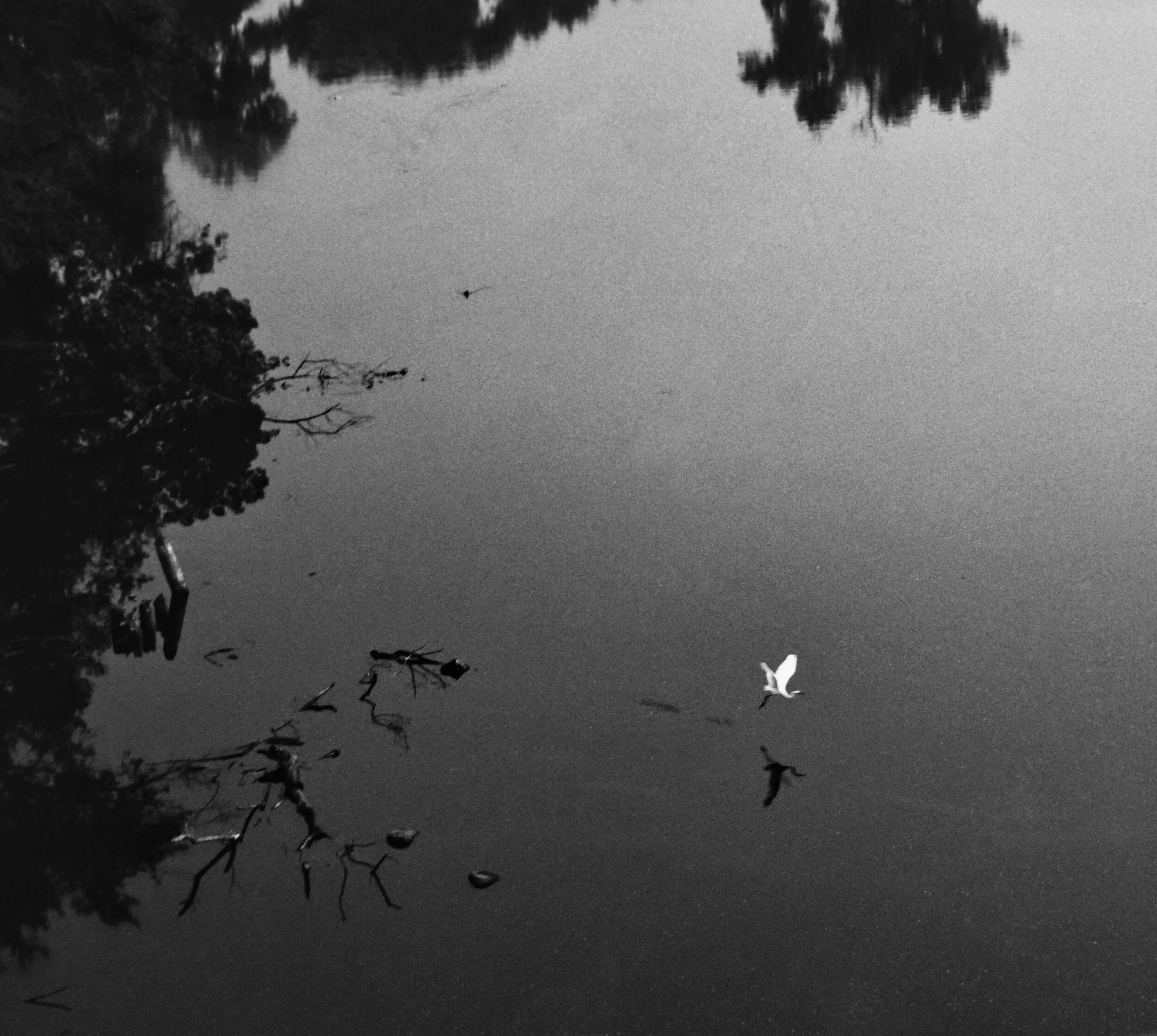 Mississippi at Camden Bridge II
