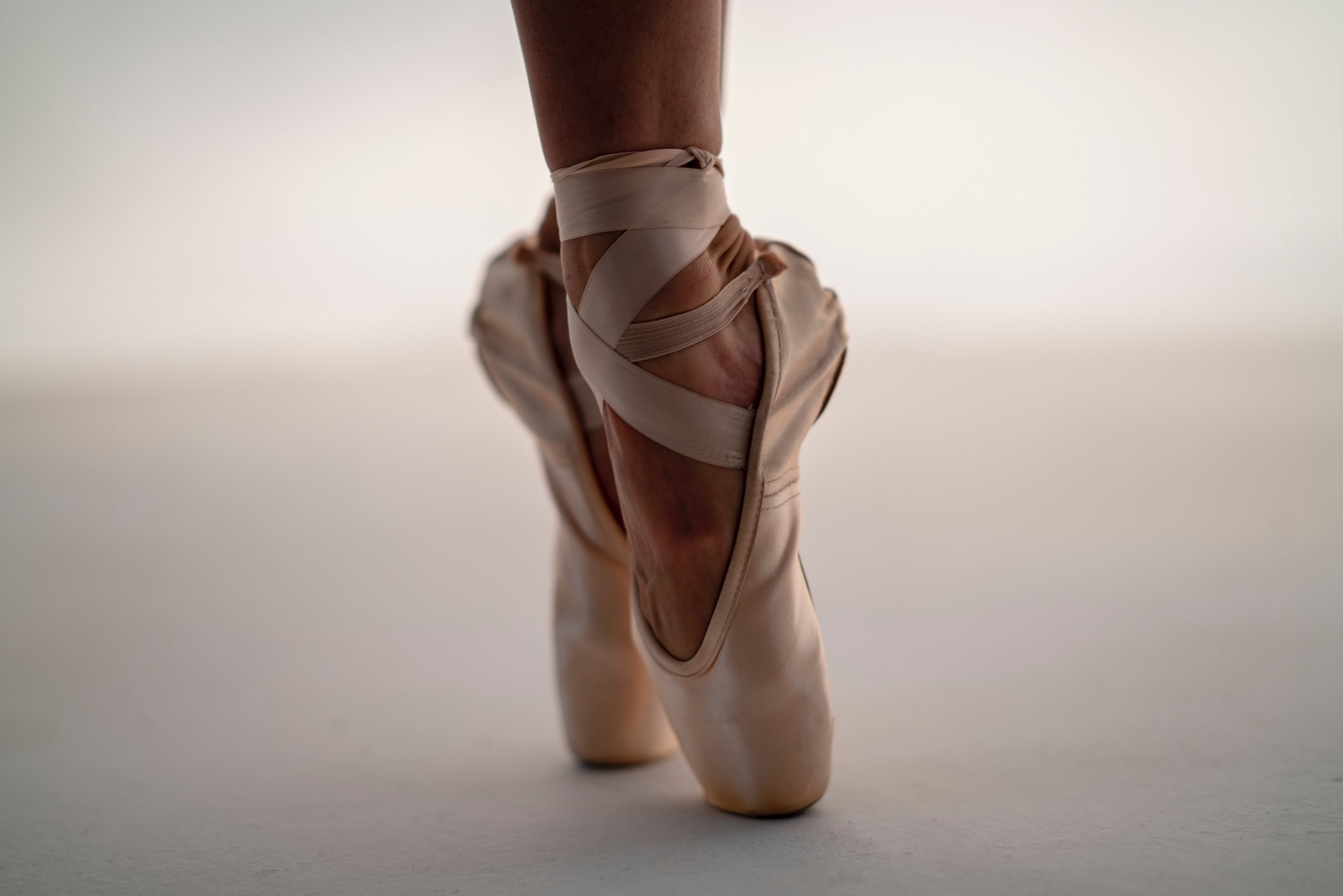 elegant Ballerinas — High Society