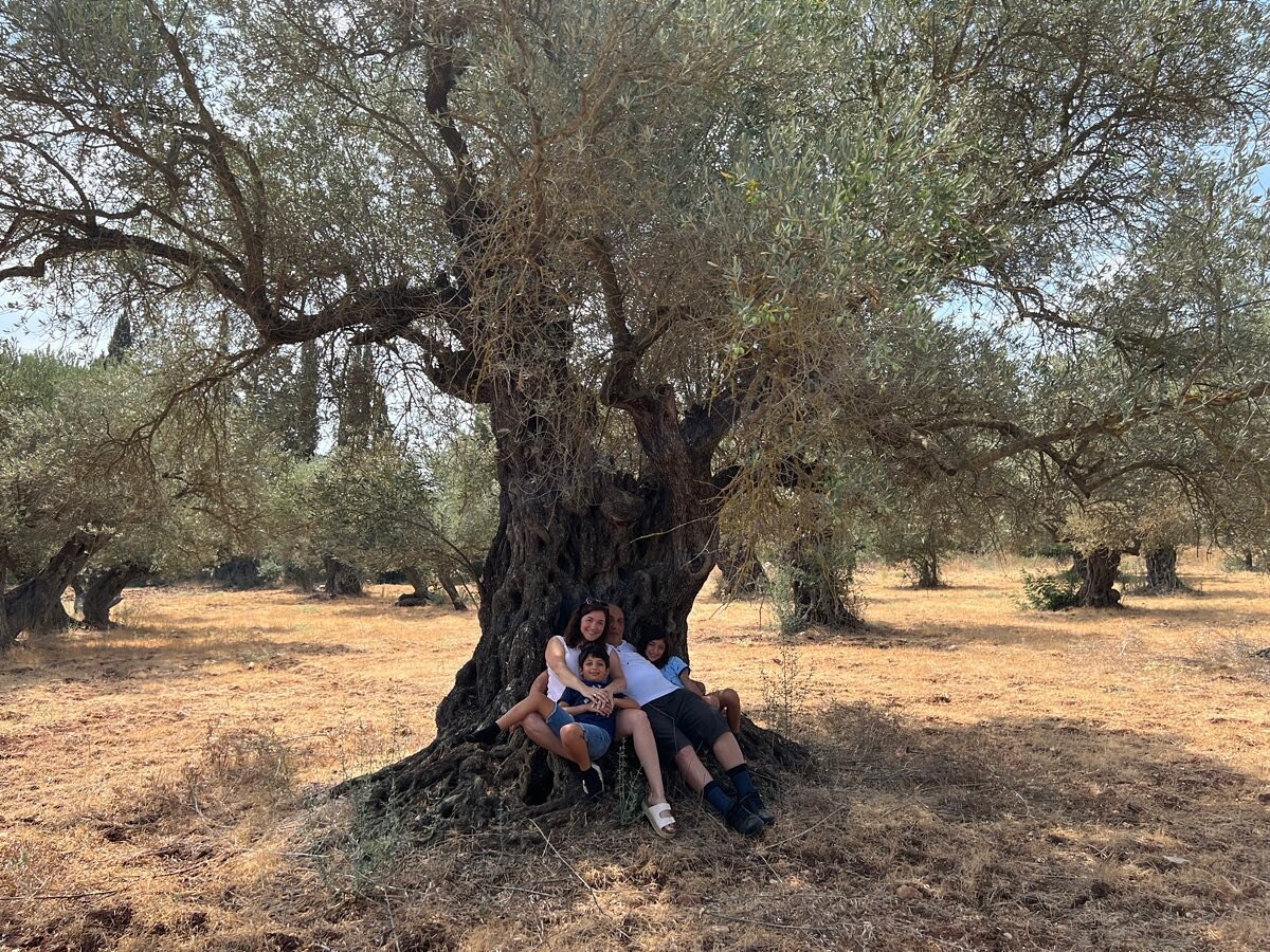 Fifth generation continued love to our olive trees