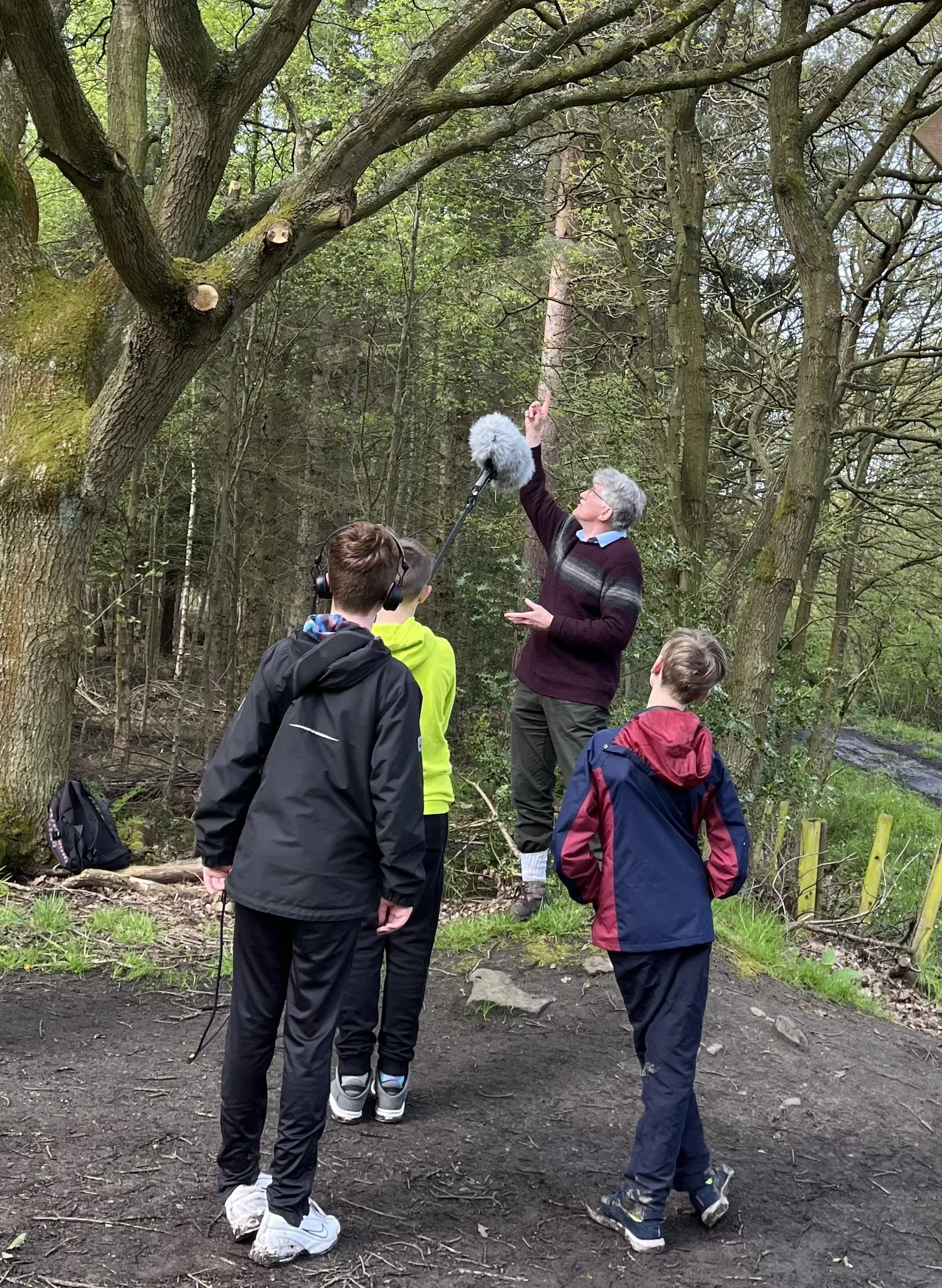 out of the woods 6.jpg