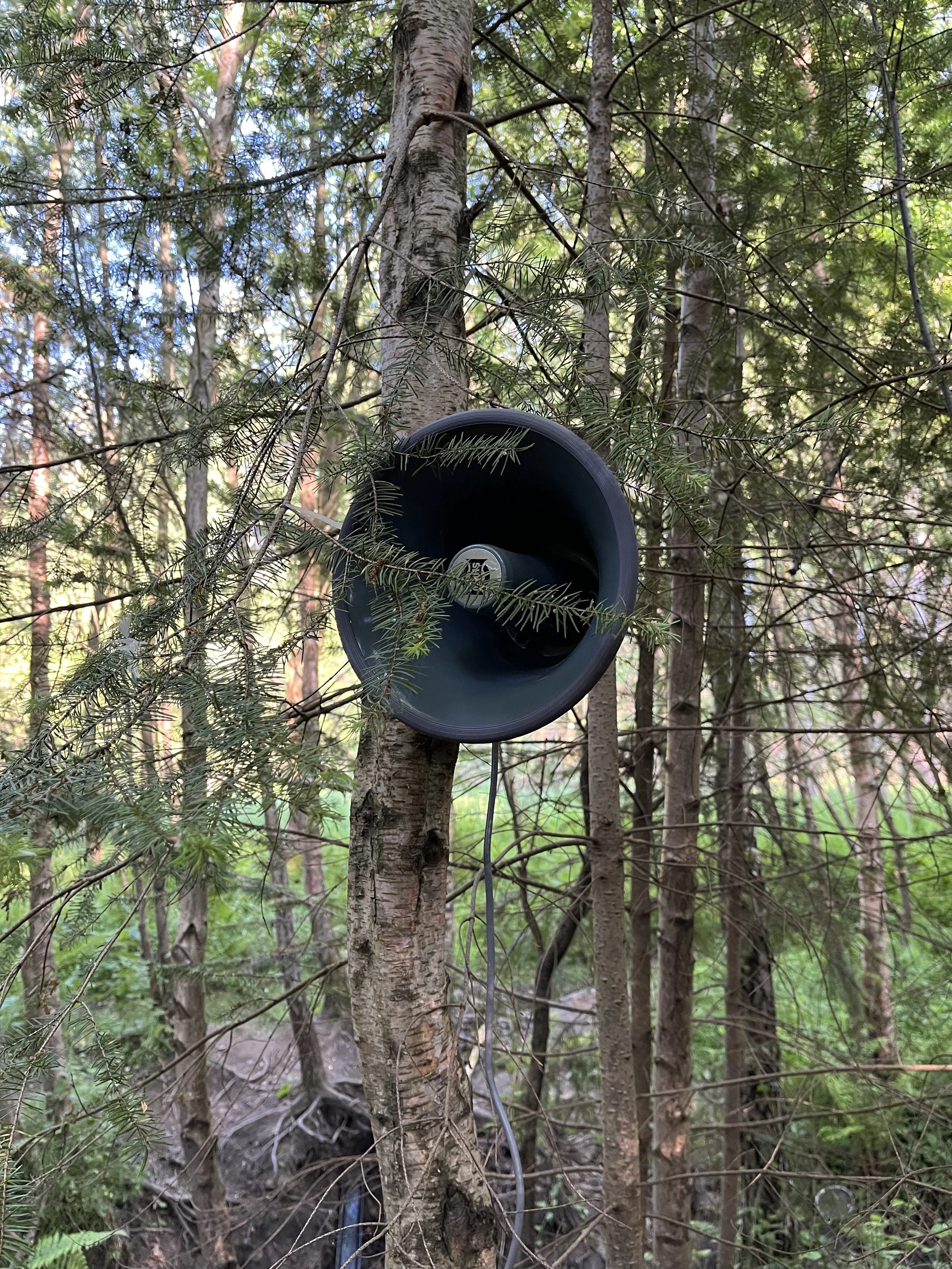 loudspeaker dukes hagg.jpg