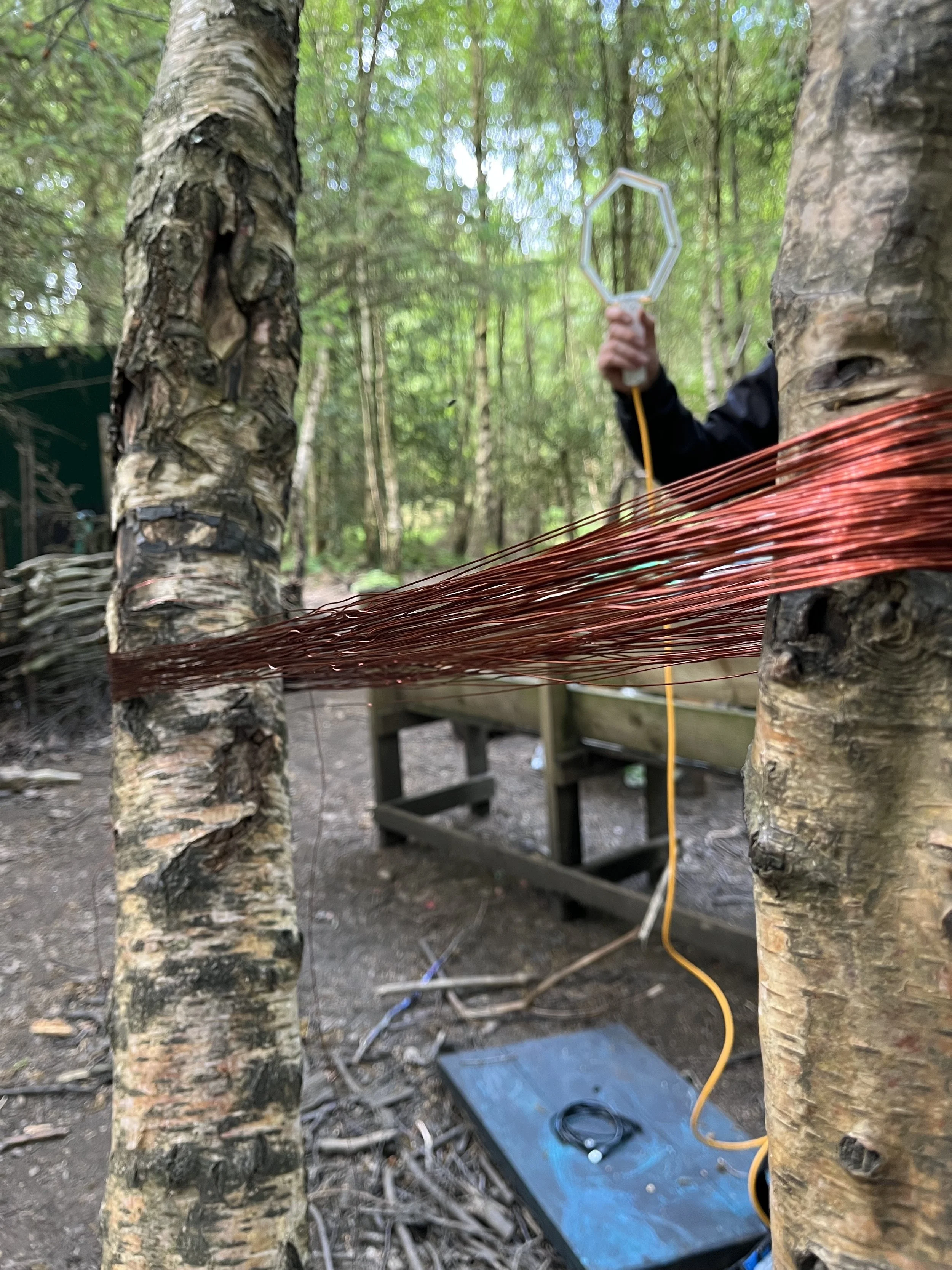 showcase event 3.jpg