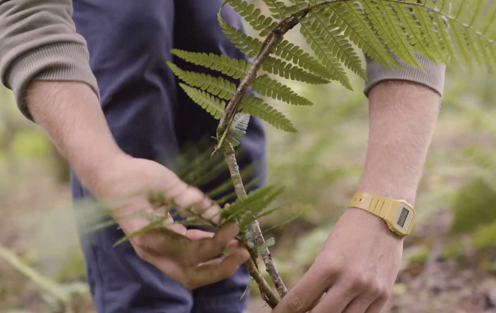 fon launch image 2.png