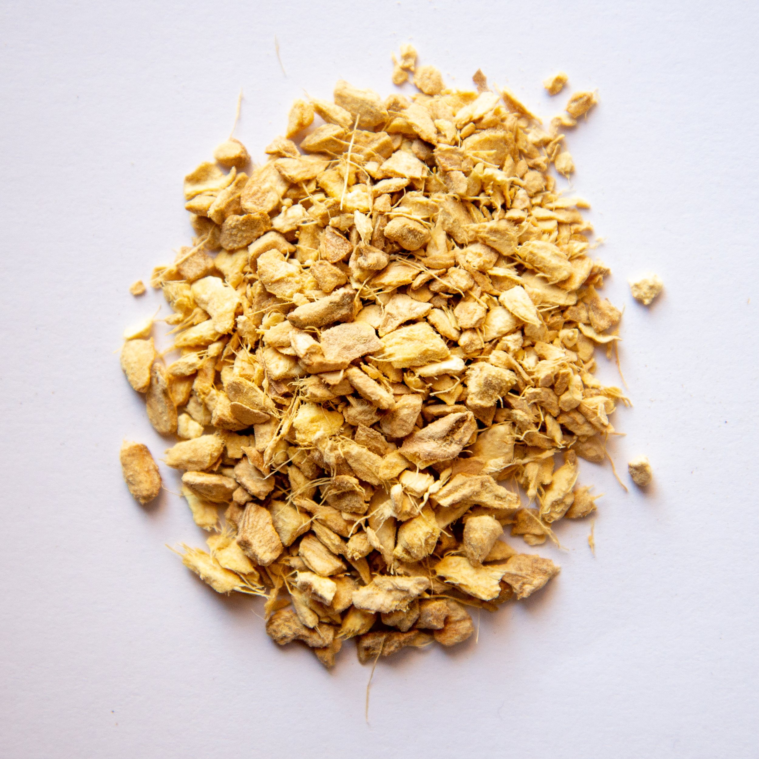 Ginger.jpg