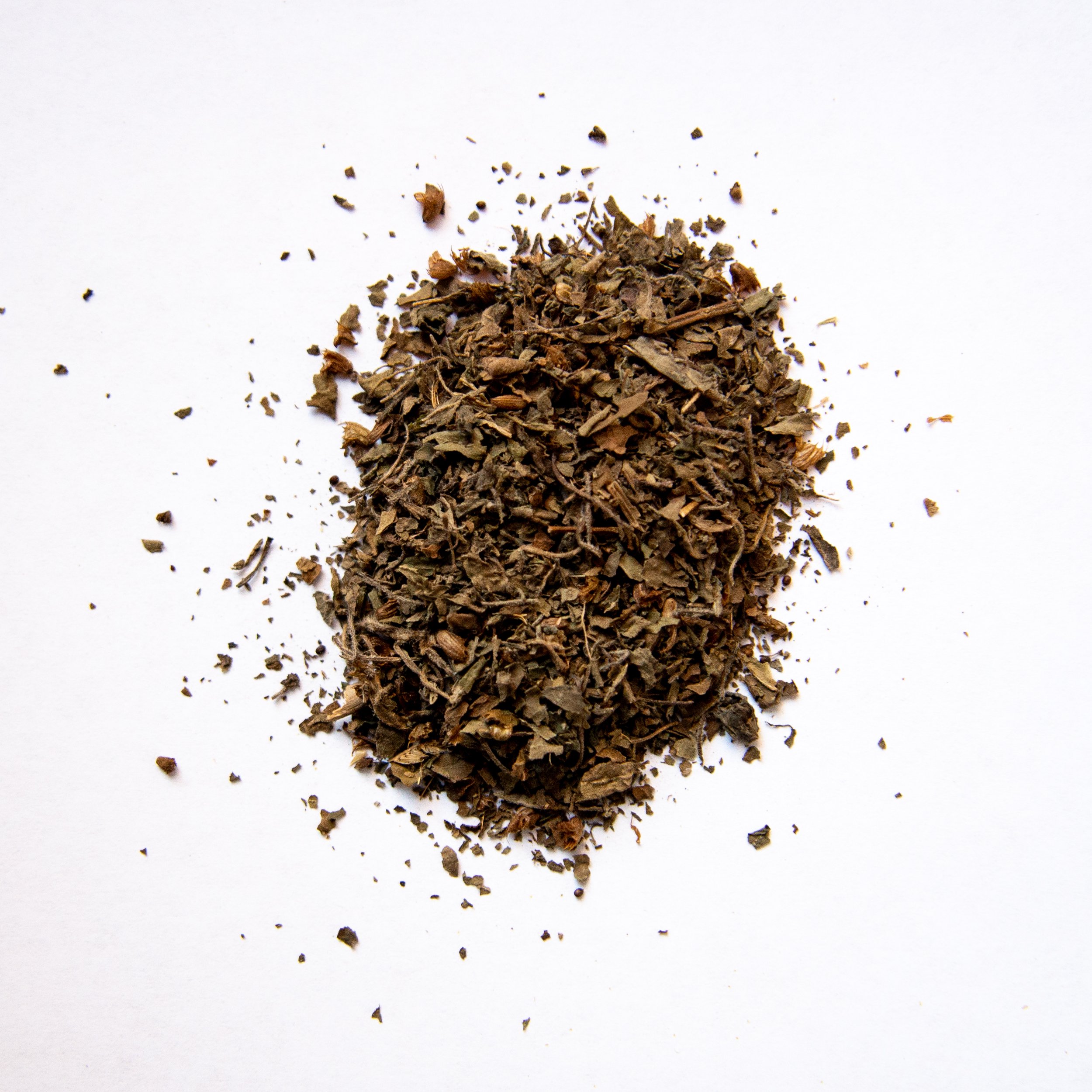 Tulsi.jpg