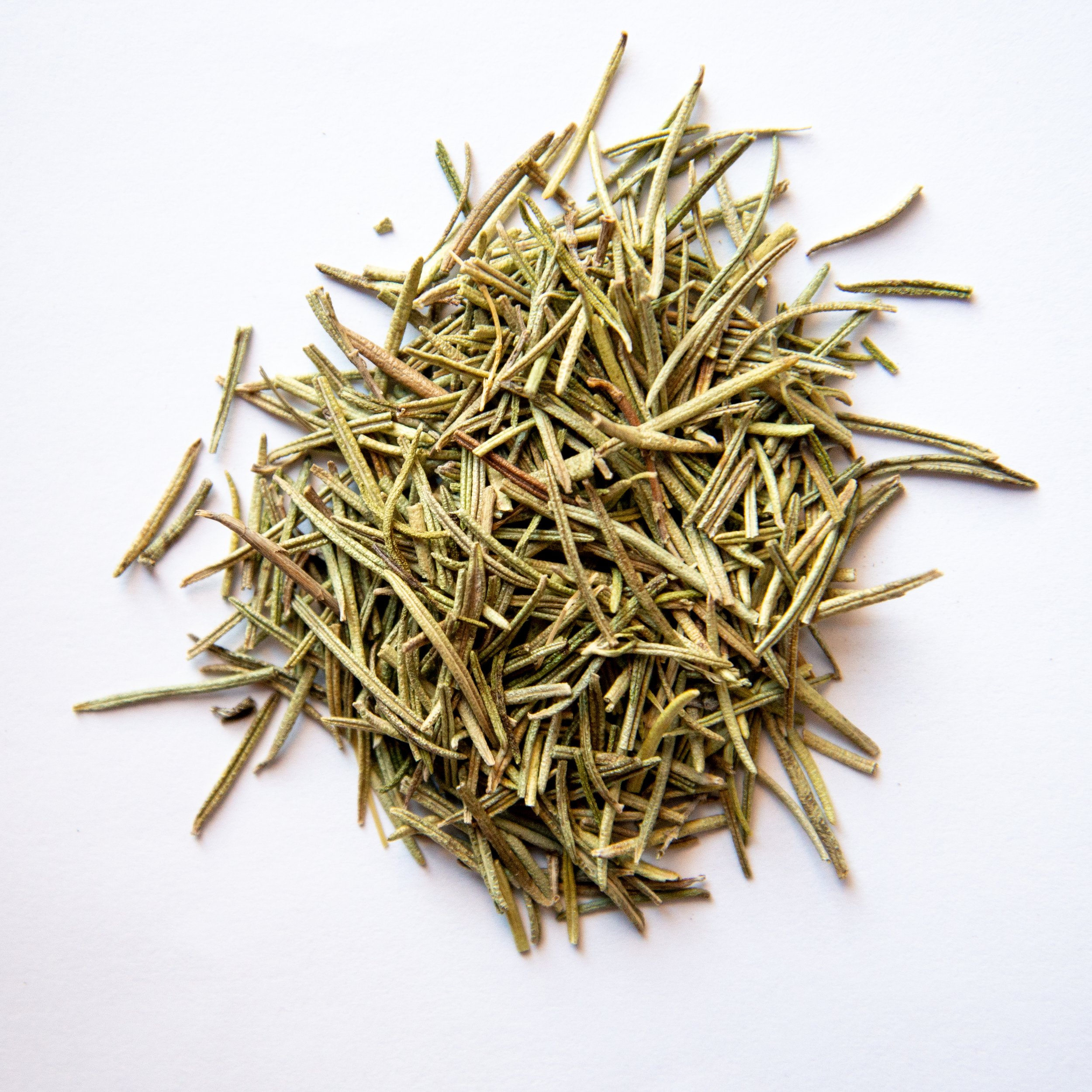 Rosemary.jpg
