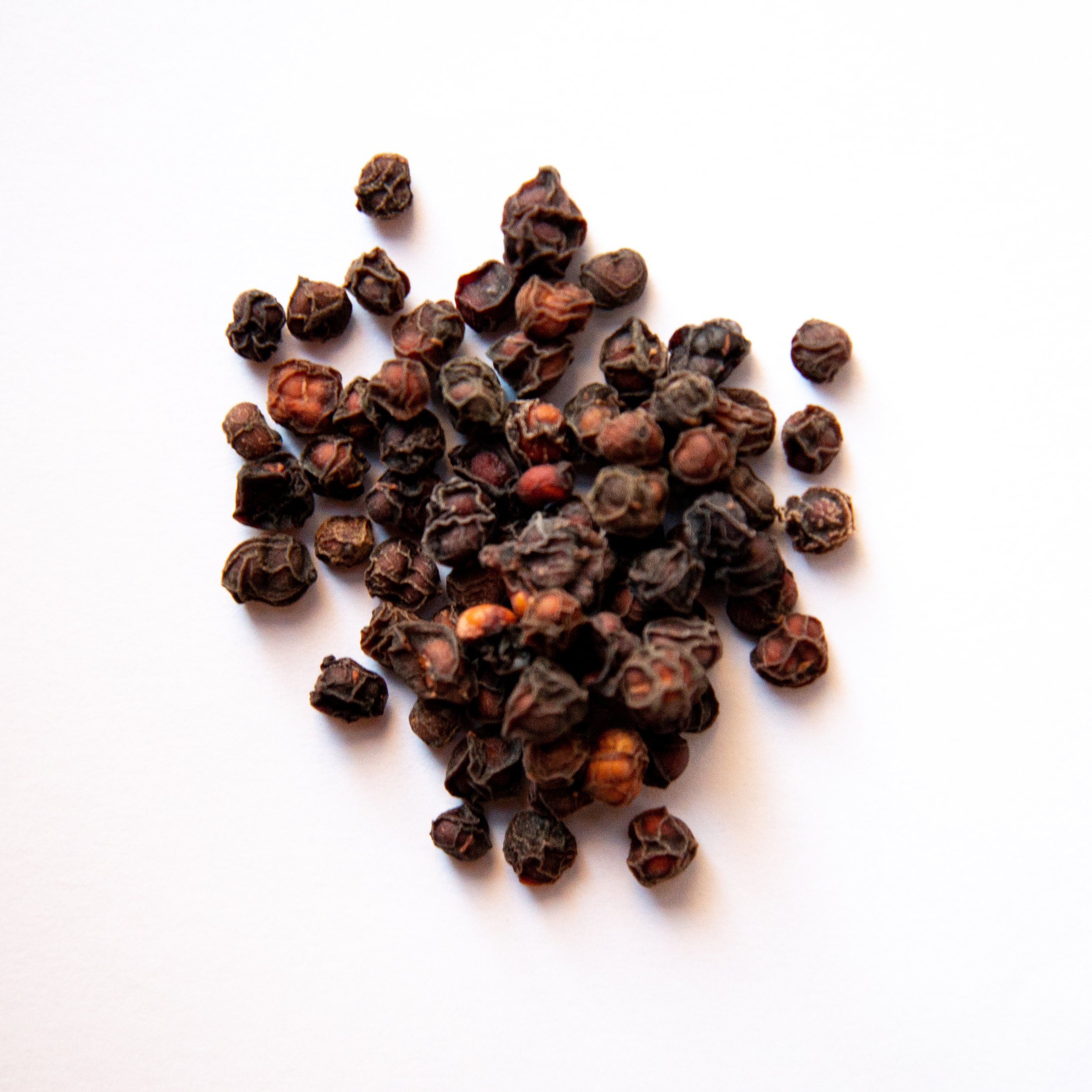 SchisandraBerries.jpg