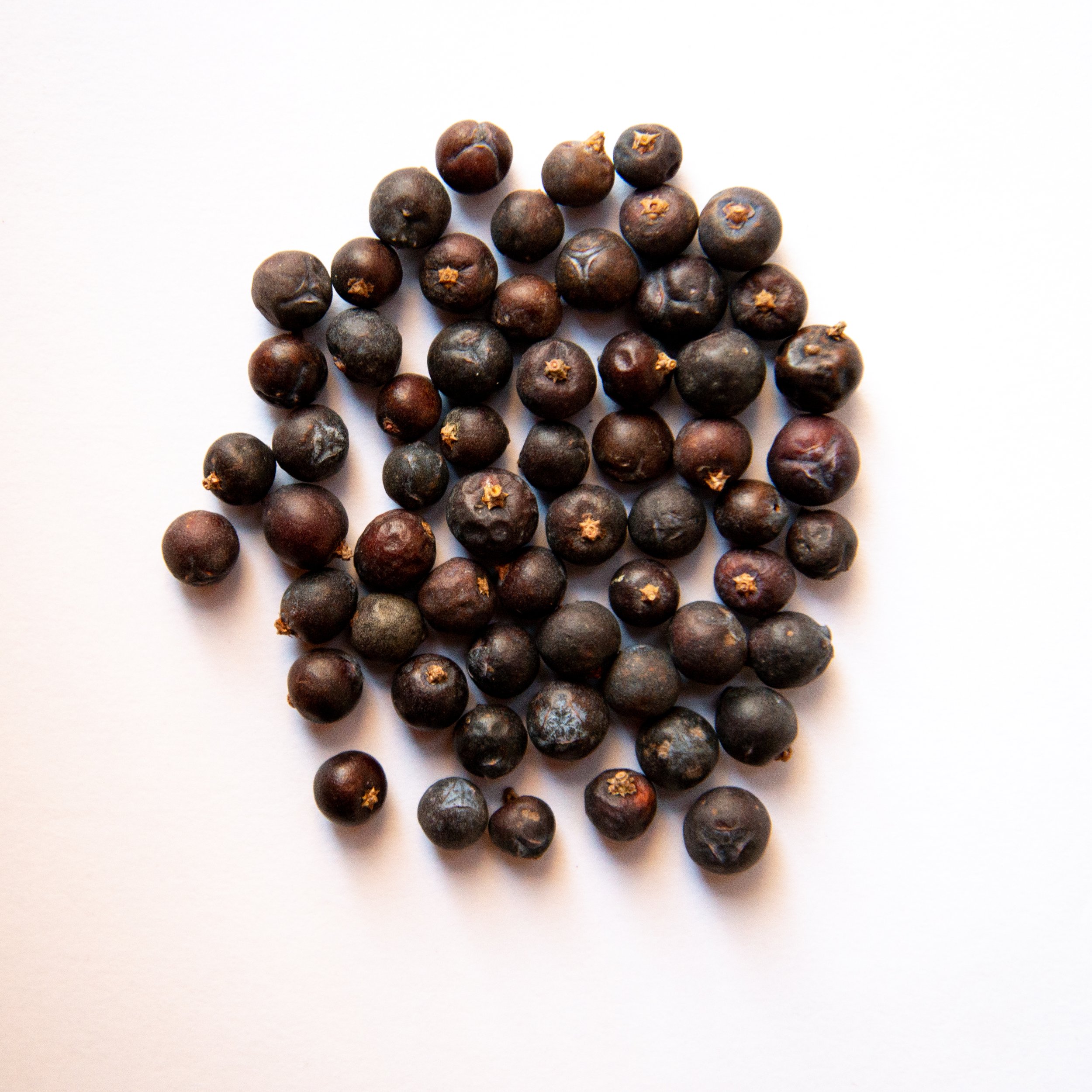 JuniperBerries.jpg