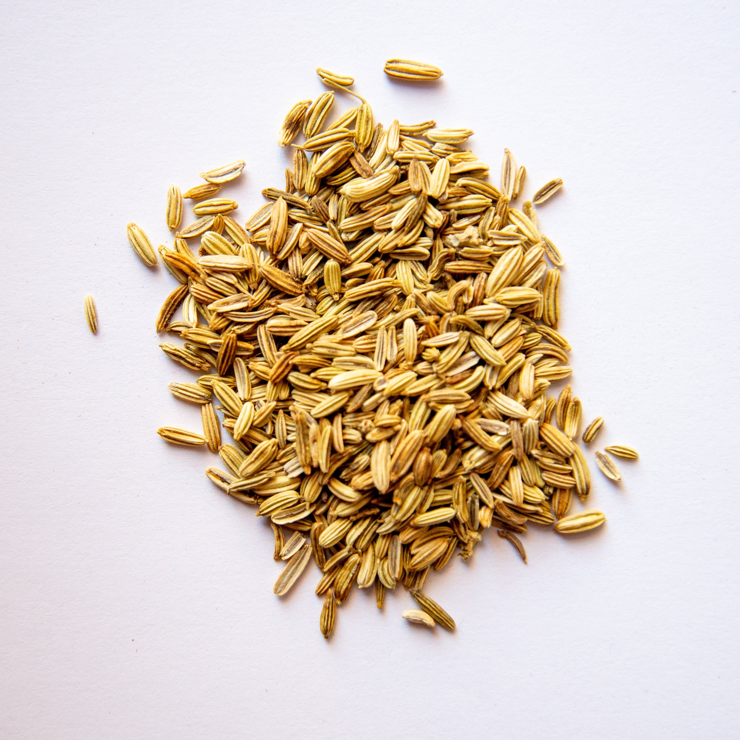 Fennel.jpg